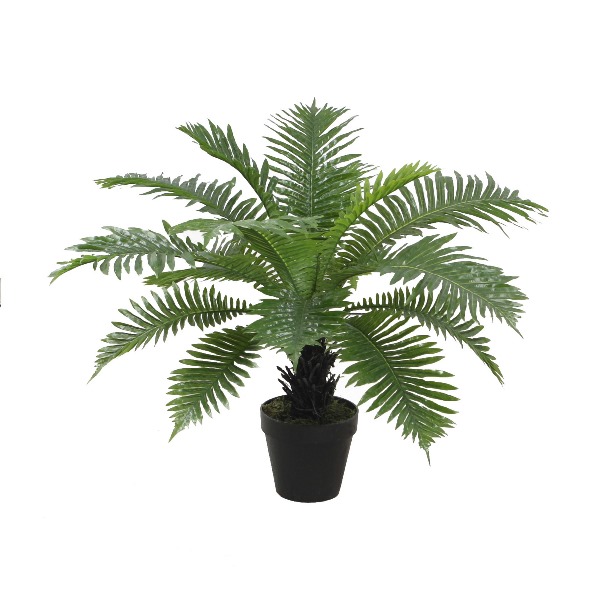 PLANTA PVC 80X80X73 HELECHO VERDE