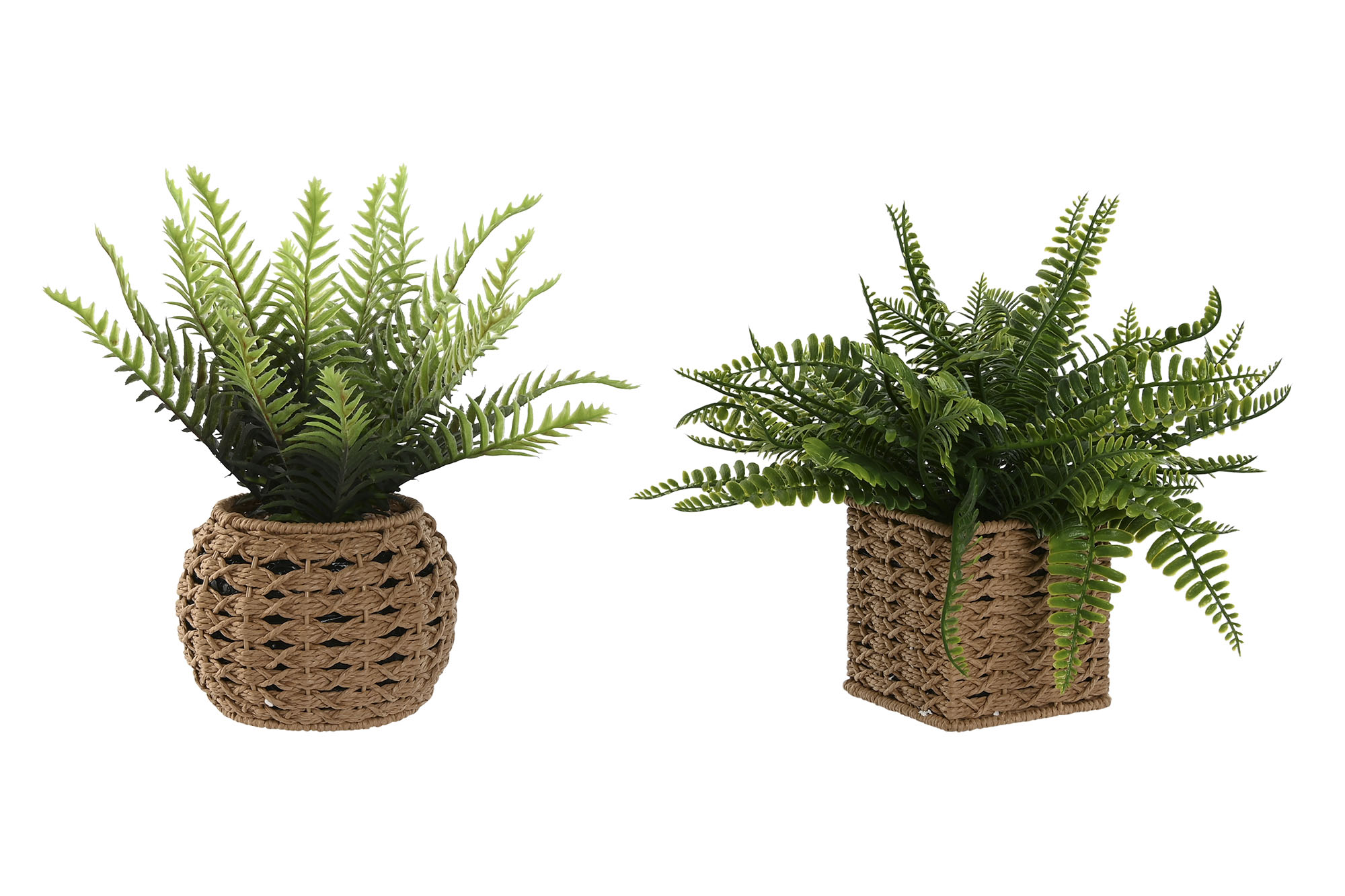 PLANTA FIBRA PE 33X33X29 2 SURT.