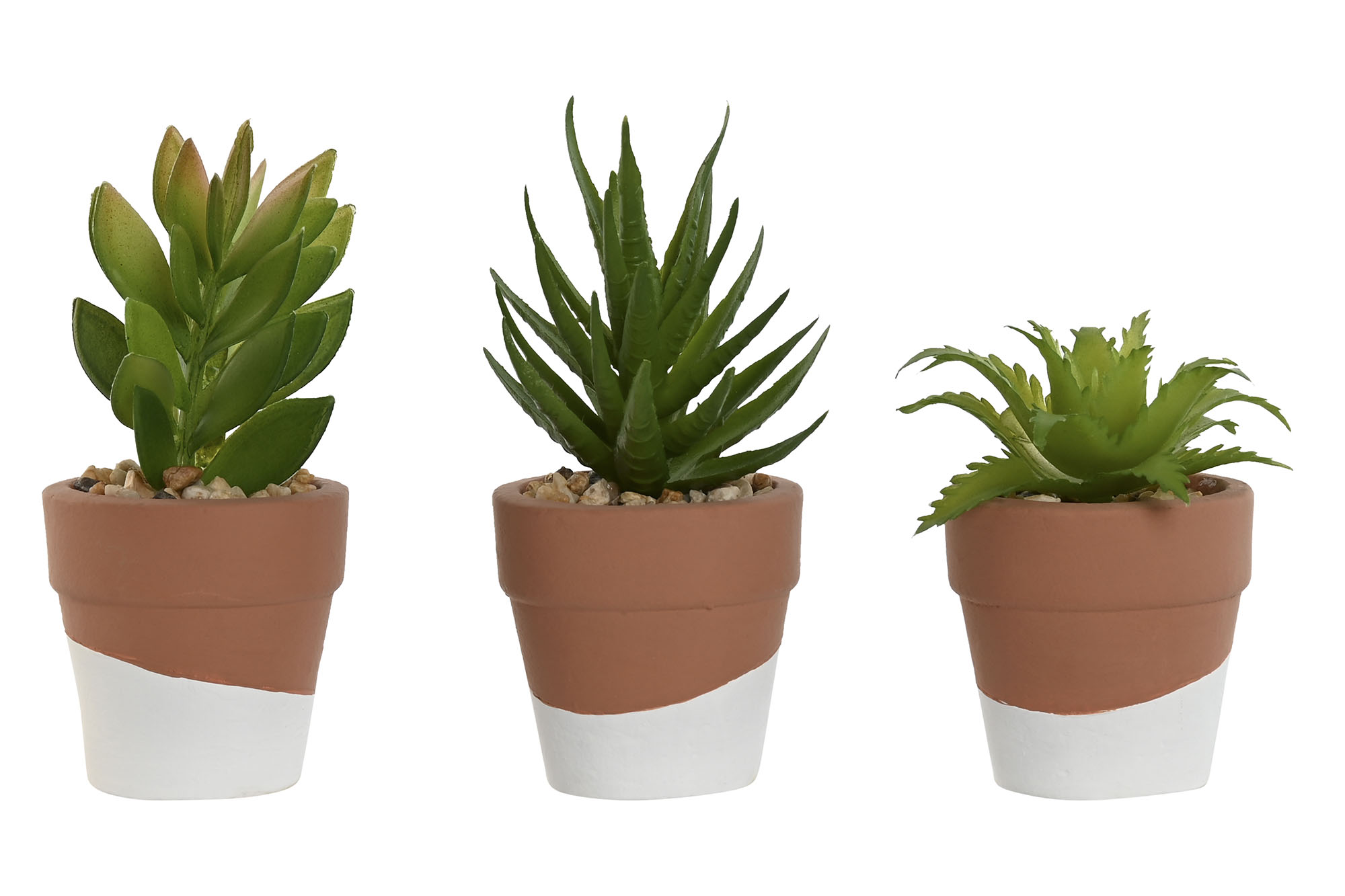 PLANTA CEMENTO PE 5,5X5,5X13 3 SURT.