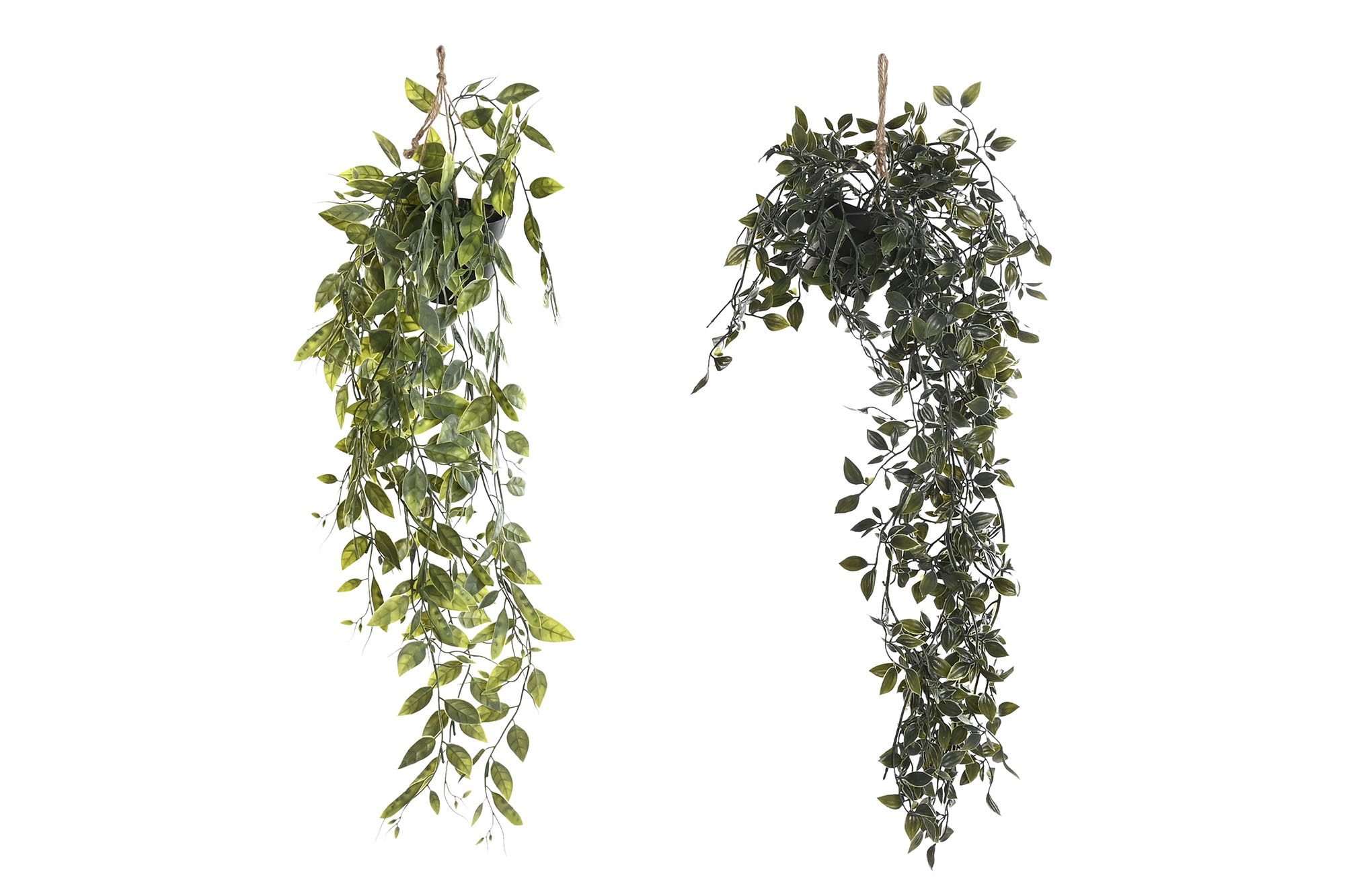 PLANTA PE 20X20X70 2 SURT.