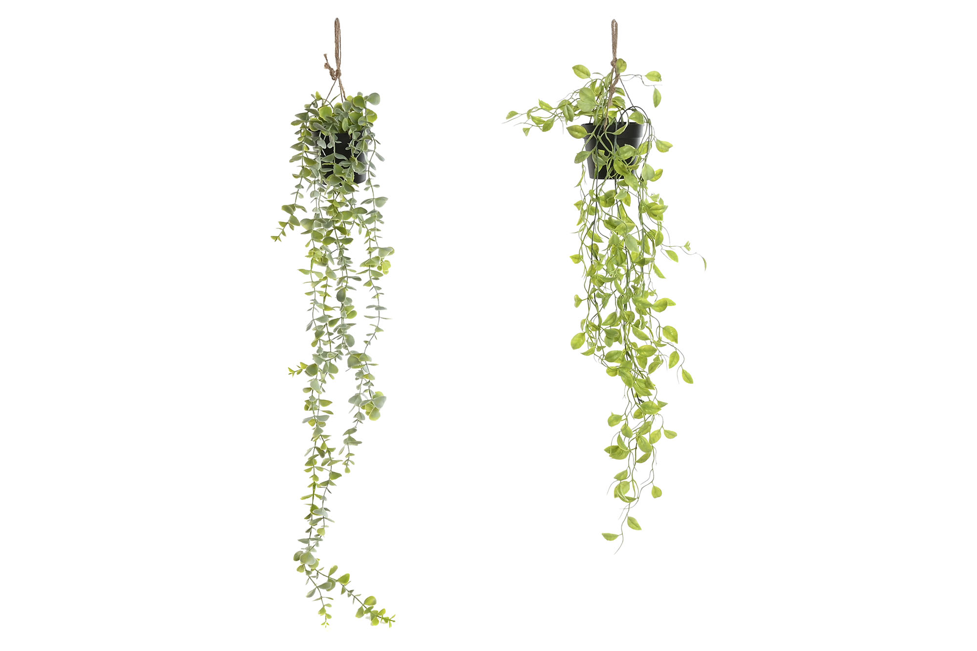 PLANTA PE 30X30X65 COLGANTE 2 SURT.