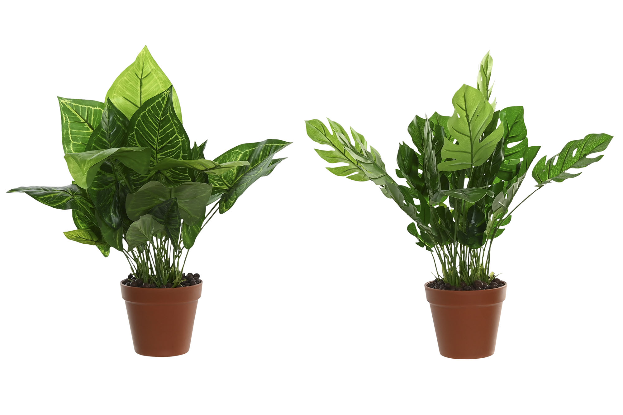 PLANTA PE 20X20X45 2 SURT.