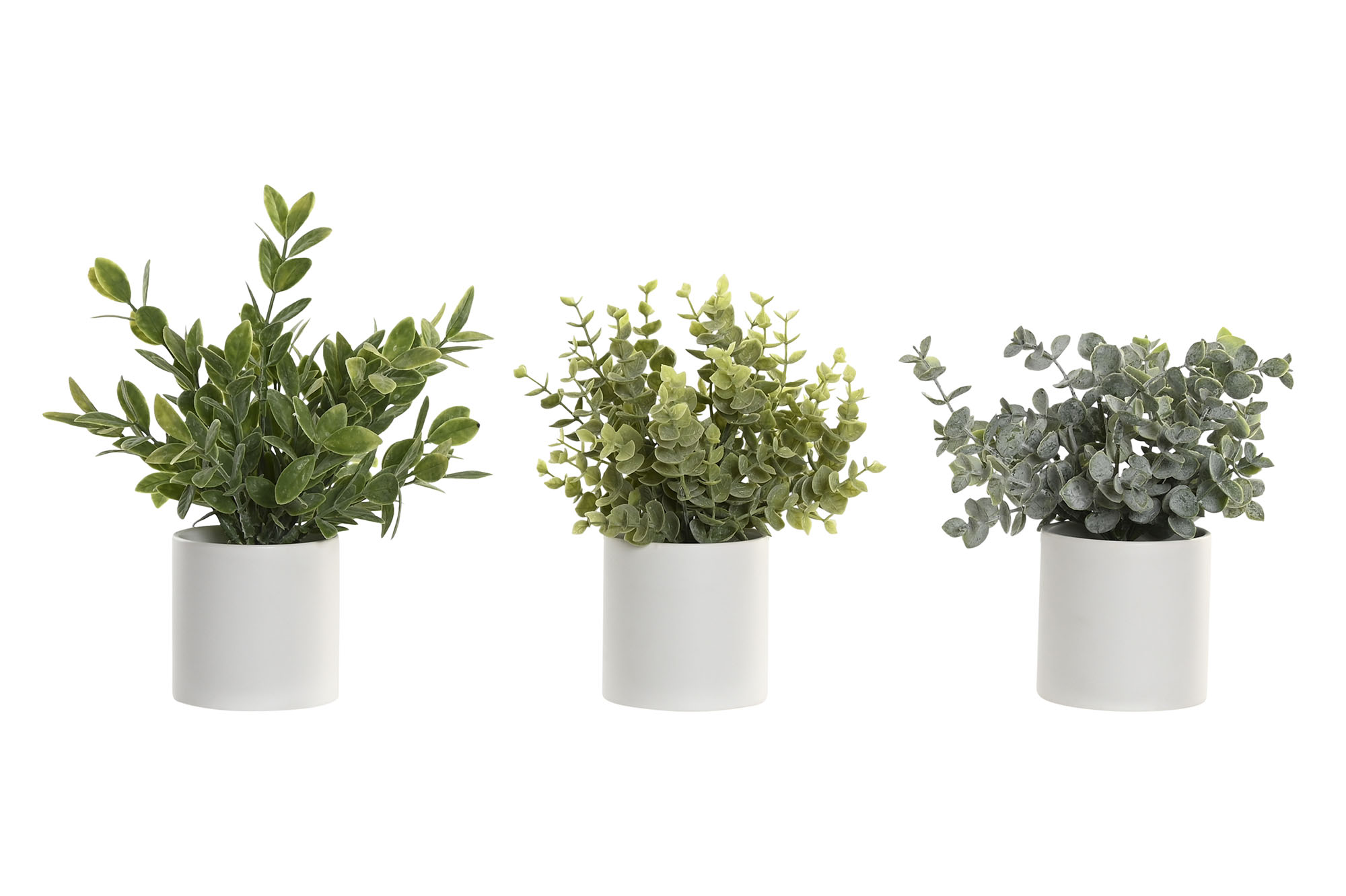 PLANTA PE 15X15X20 3 SURT.