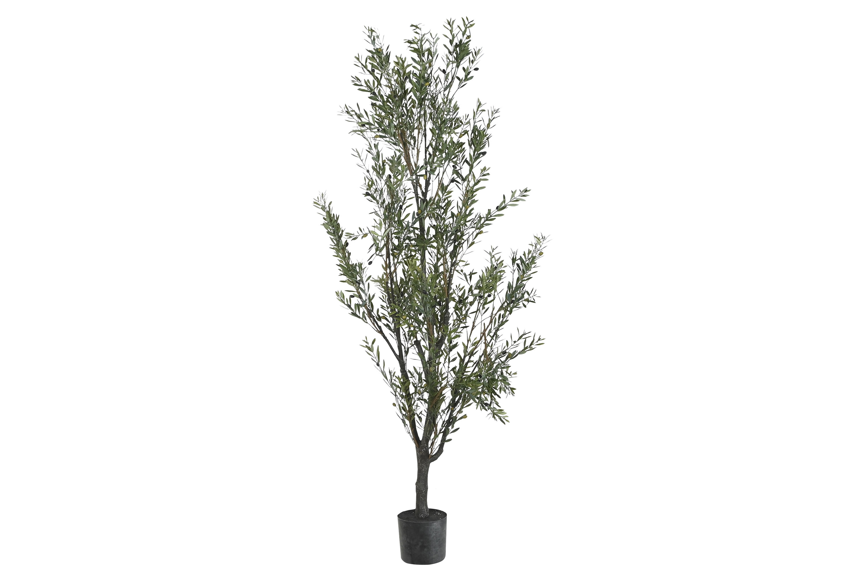 ARBOL PE 80X80X210 OLIVO VERDE