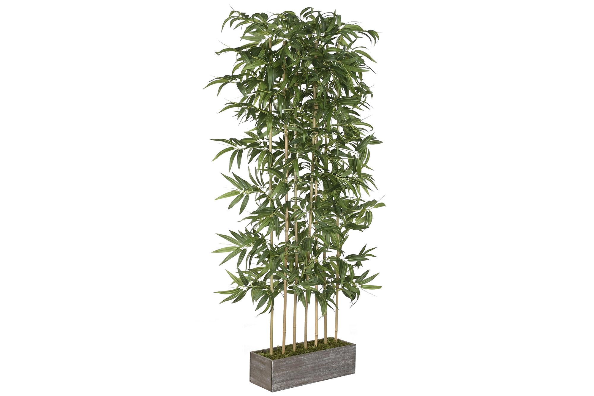 PLANTA PE MADERA 100X60X192 BAMBU VERDE