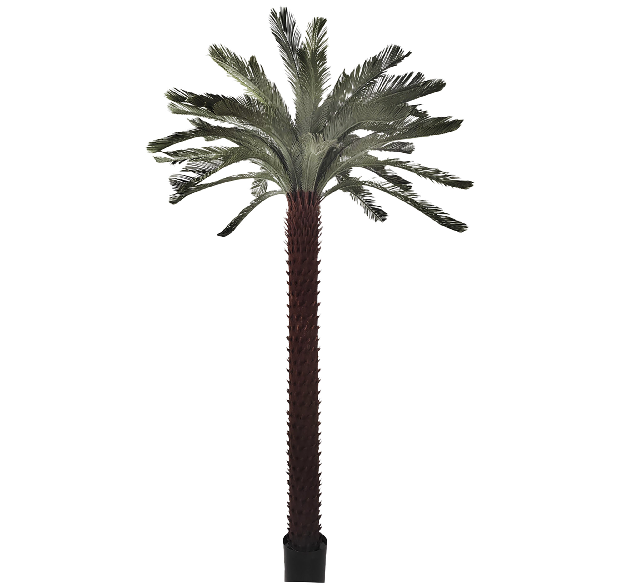 PLANTA PE 180X180X300 PALMERA VERDE