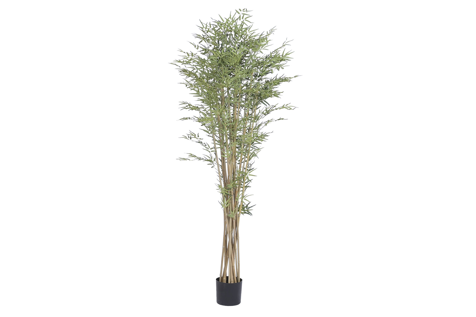 PLANTA PE MADERA 105X105X210 VERDE