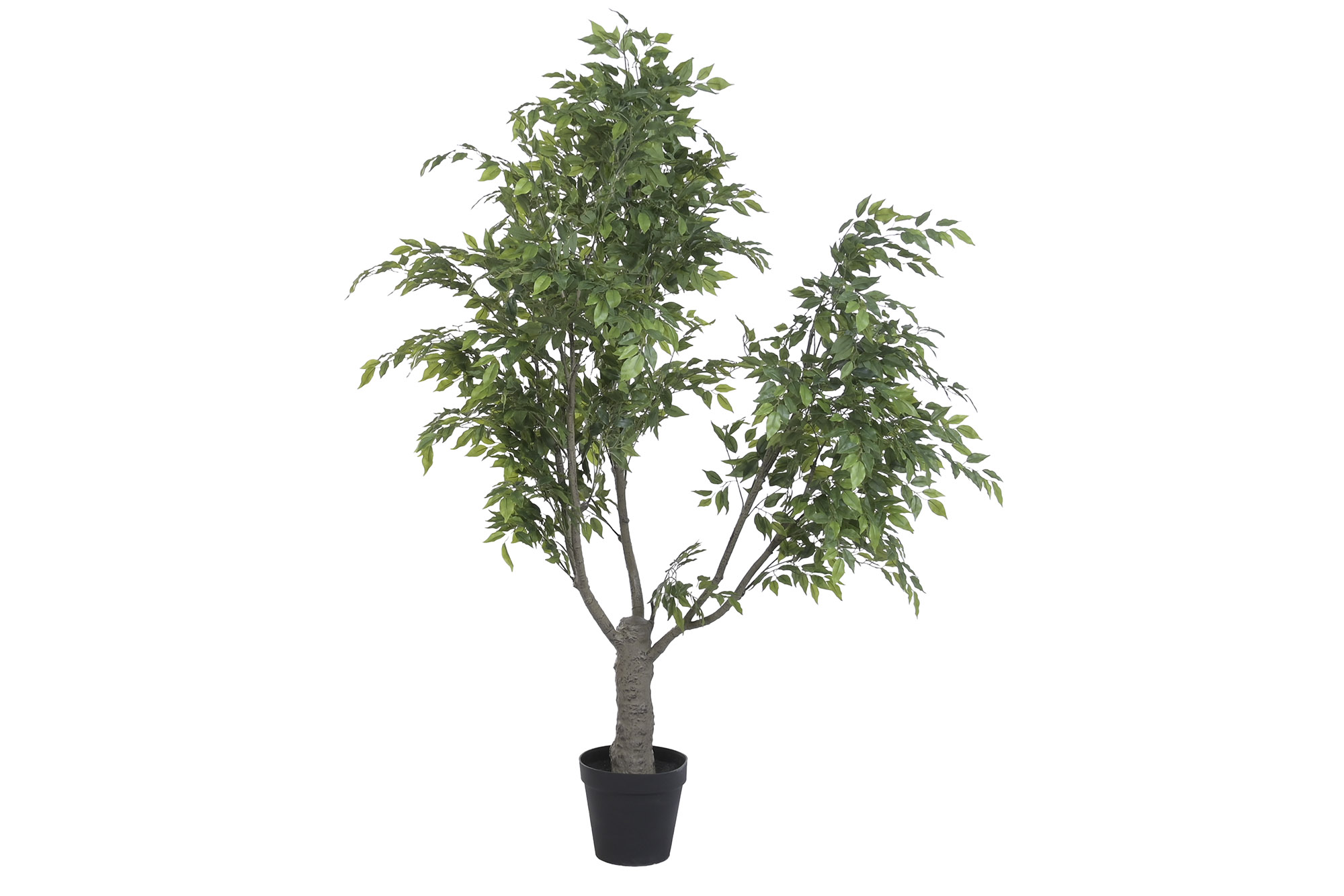 ARBOL PE 100X100X210 FICUS VERDE