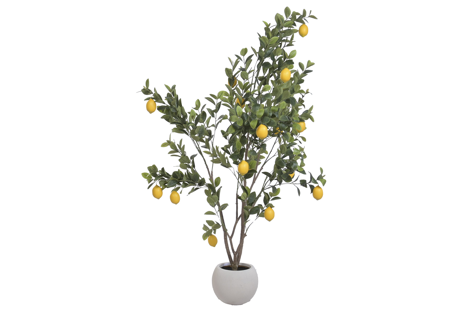 ARBOL PE 80X80X180 LIMONERO VERDE