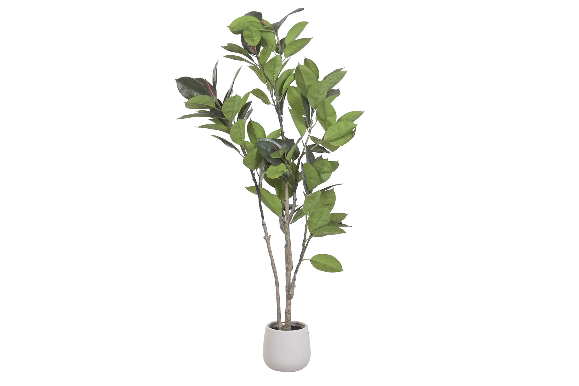 ARBOL PE 60X60X153 HEVEA VERDE