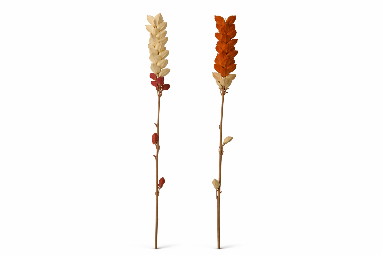 DECORACION BAMBU HOJAS 6X6X160 RAMA FLOR 2 SURT.