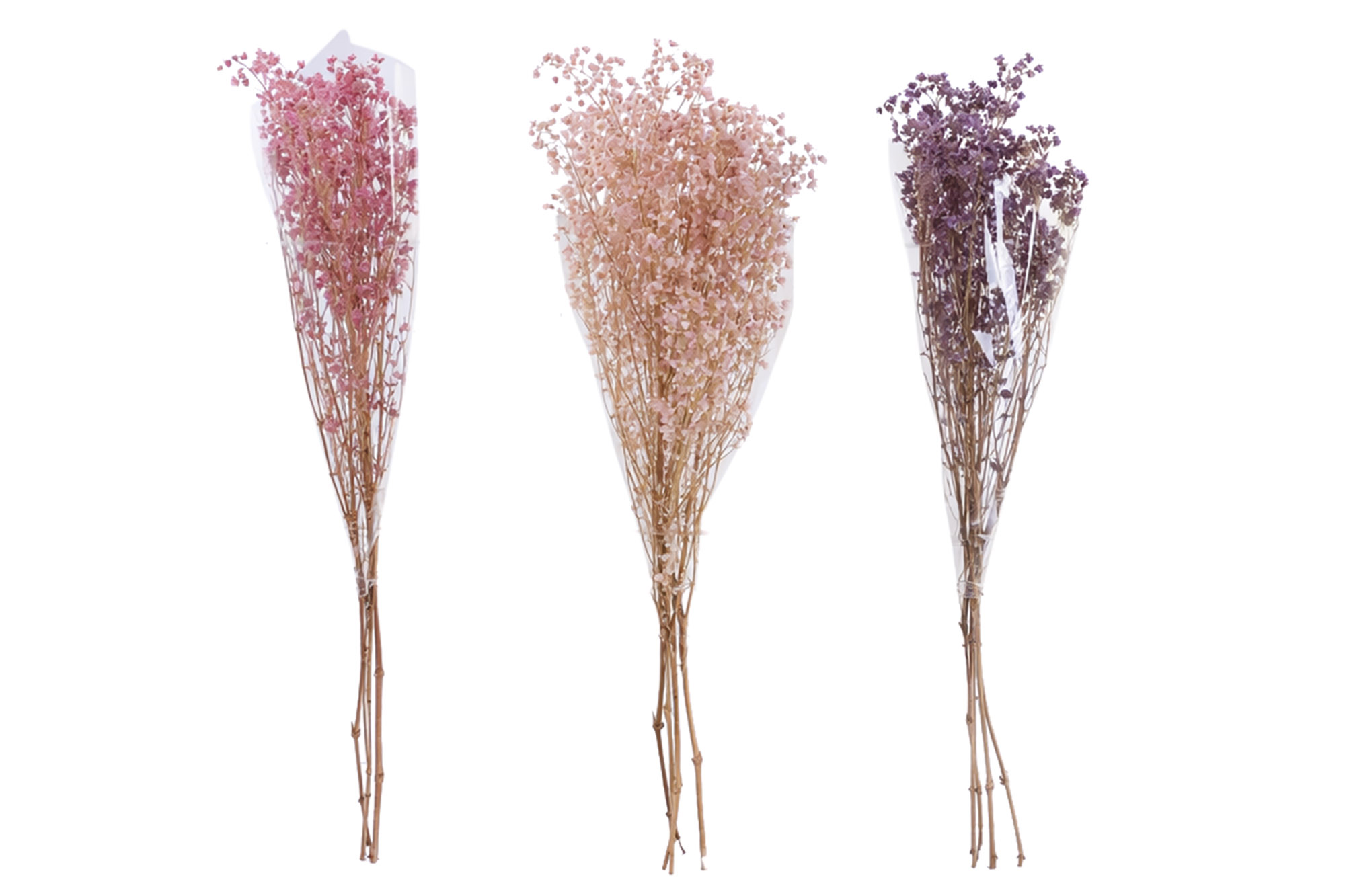 RAMO FLOR PRESERVADA 50GR GYSOPHILA BOLA 3 SURT.