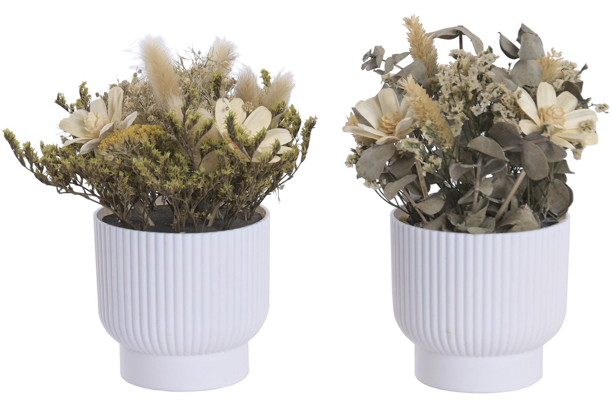 PLANTA FLOR SECA PP 17X17X20 2 SURT.