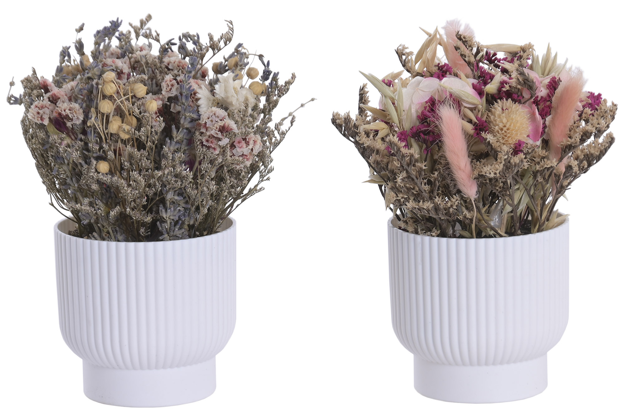 PLANTA FLOR SECA PP 16X16X20 2 SURT.