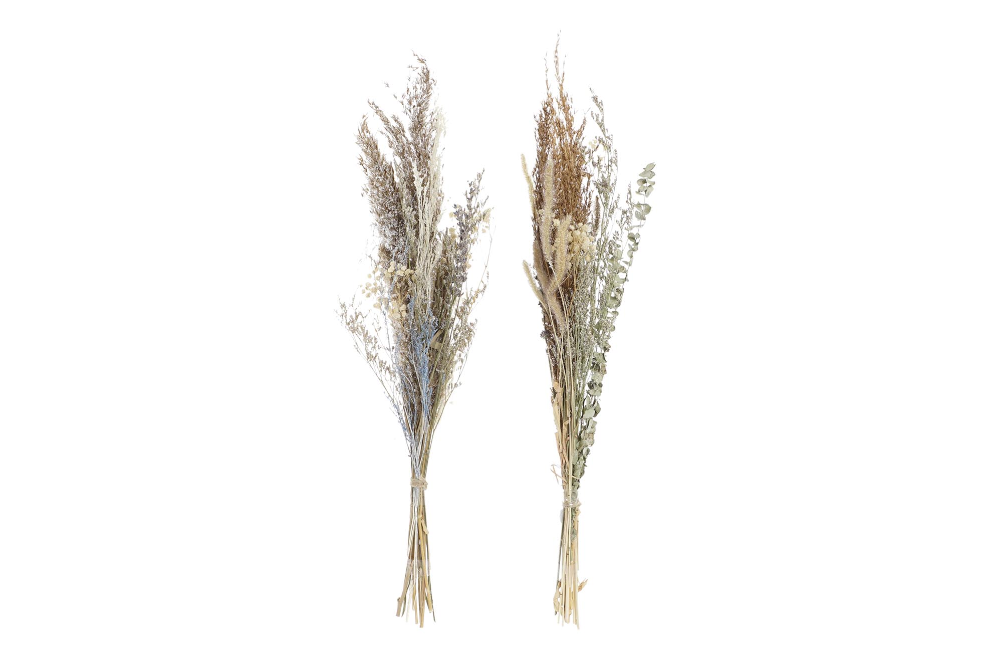 RAMO FLOR SECA 18X8X63 NATURAL 2 SURT.