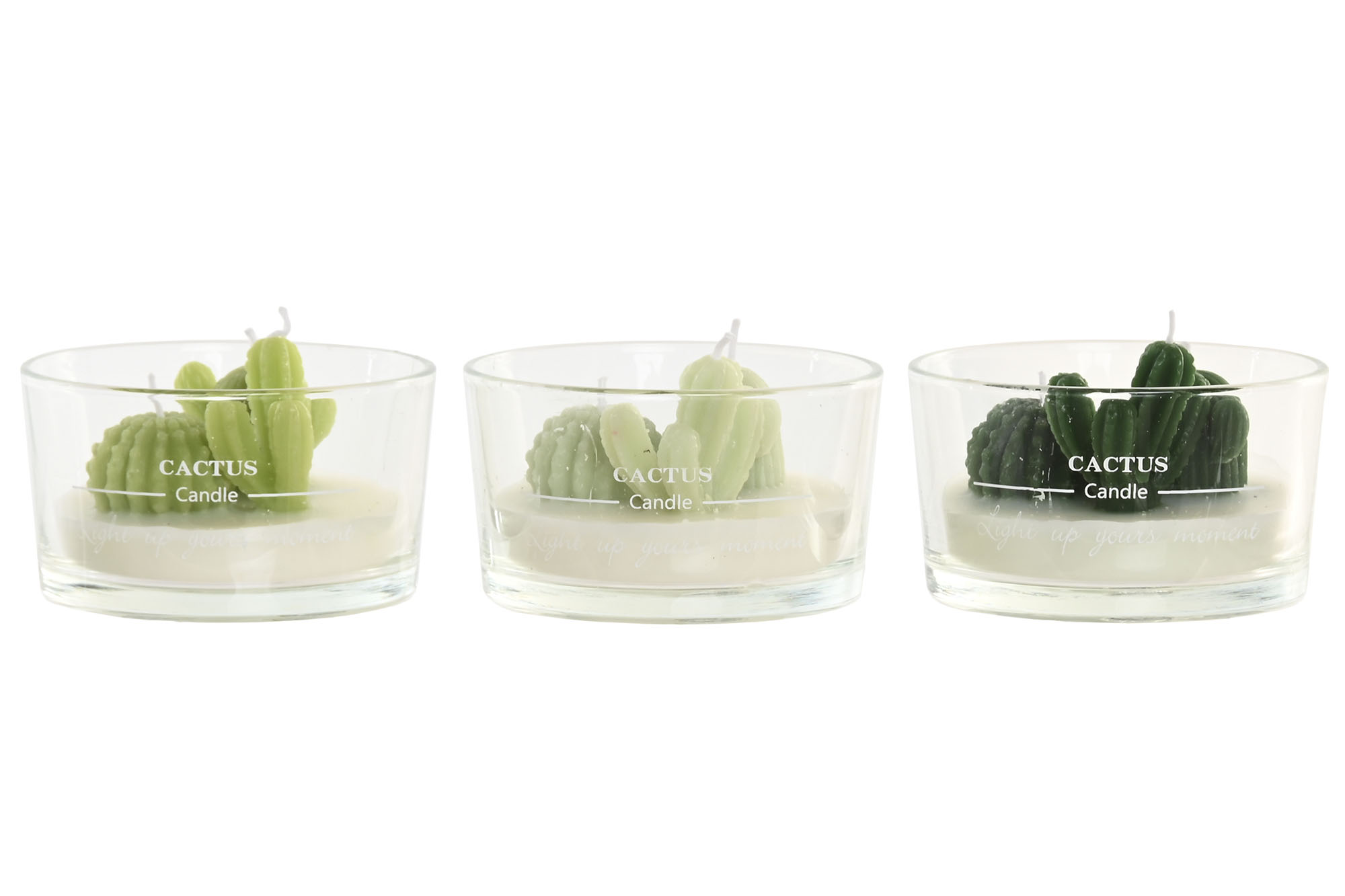 VELA CERA PARAFINA 10X10X6 120 GR, CACTUS 3 SURT.