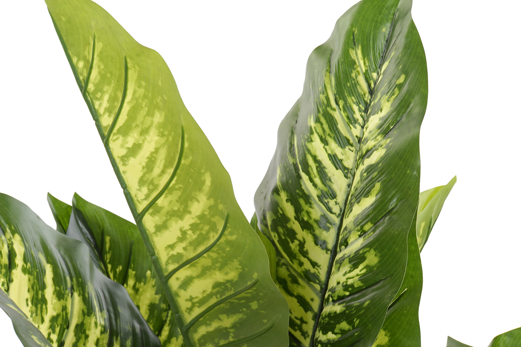 PLANTA PVC 75X72X120 DIEFFENBACHIA VERDE 2
