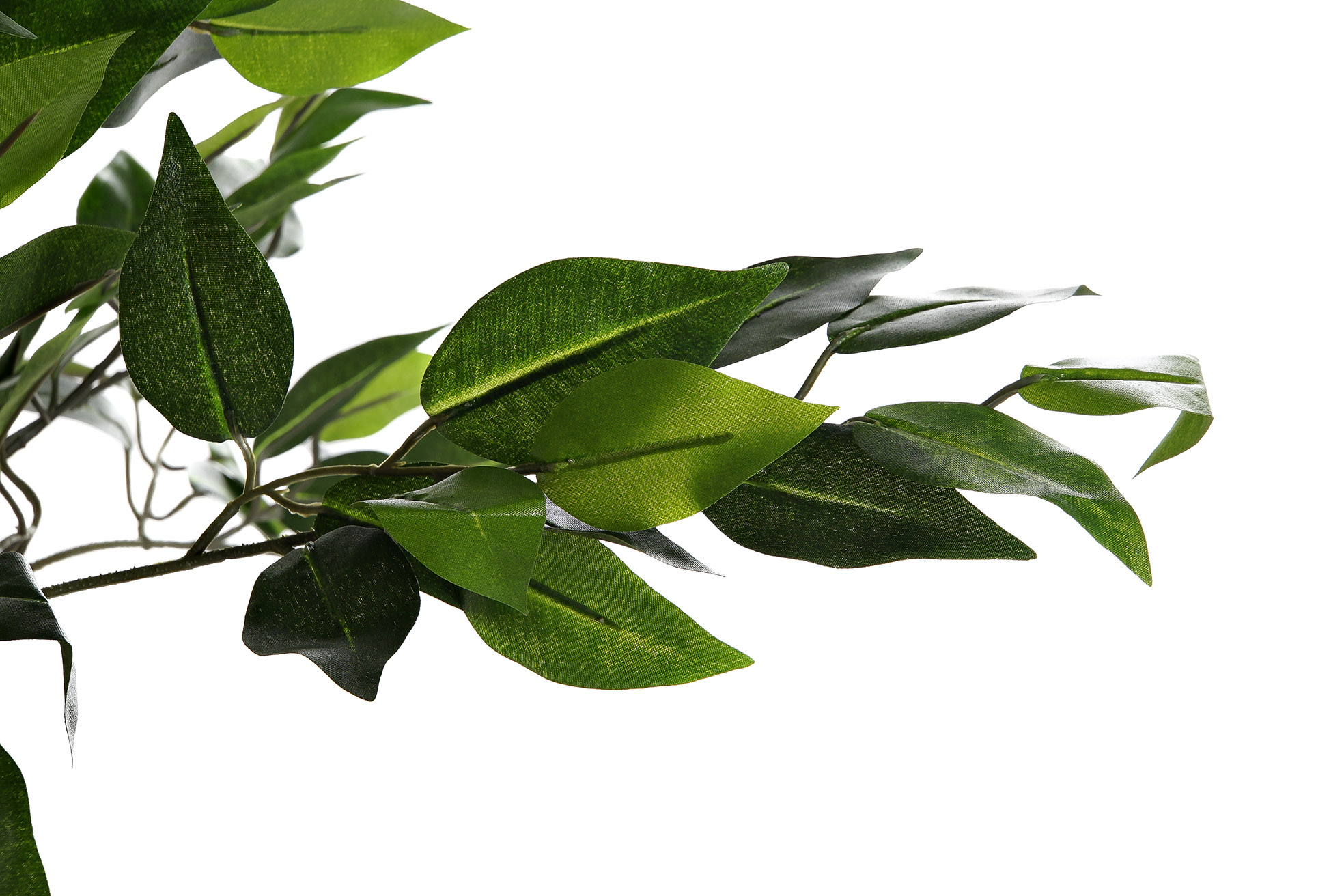 PLANTA PVC PP 60X70X120 FICUS BENJAMIN VERDE 2