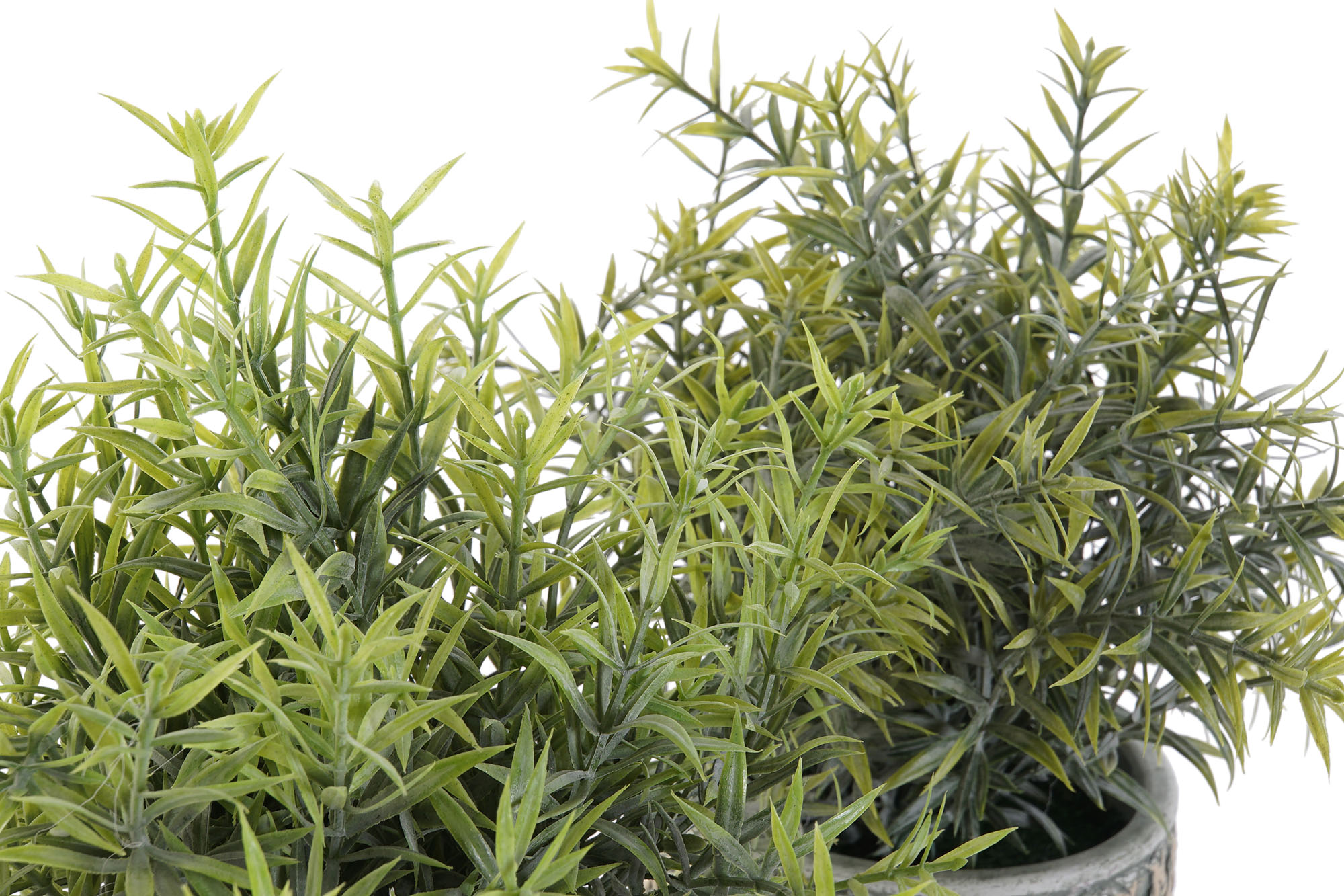 PLANTA RESINA 12X12X25CM 3