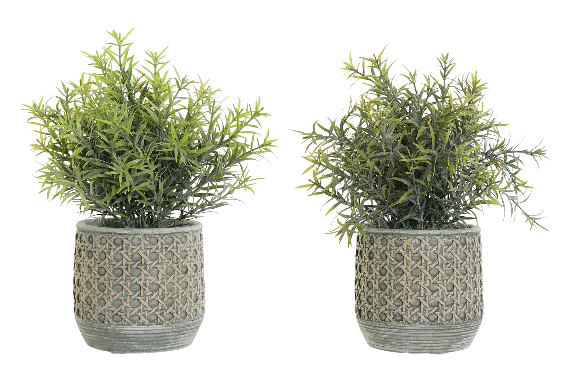 PLANTA RESINA 12X12X25CM