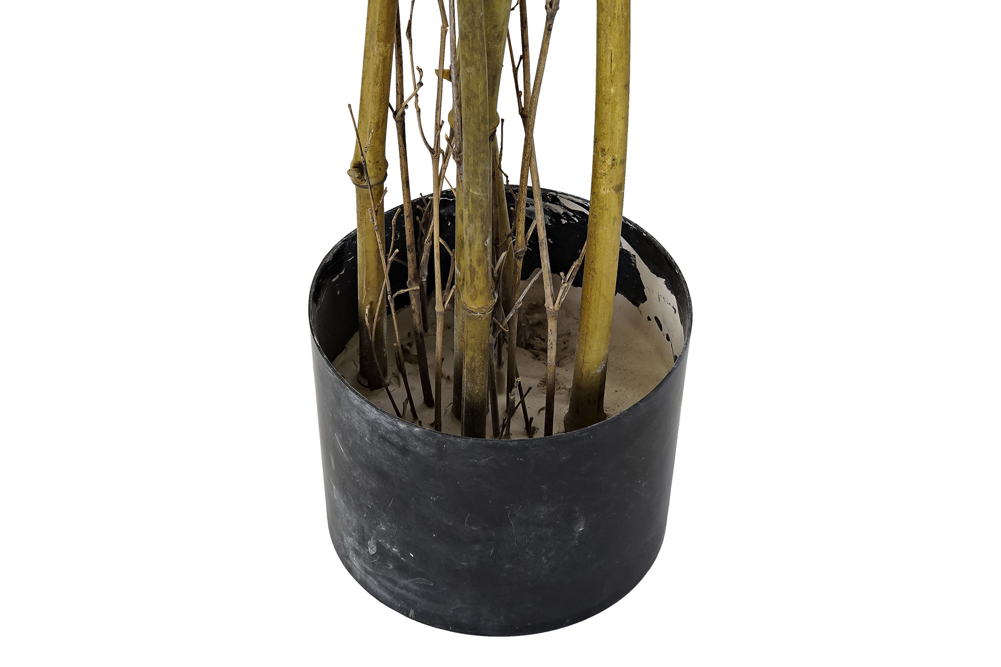 PLANTE PE BAMBU 50X180CM VERDE 3