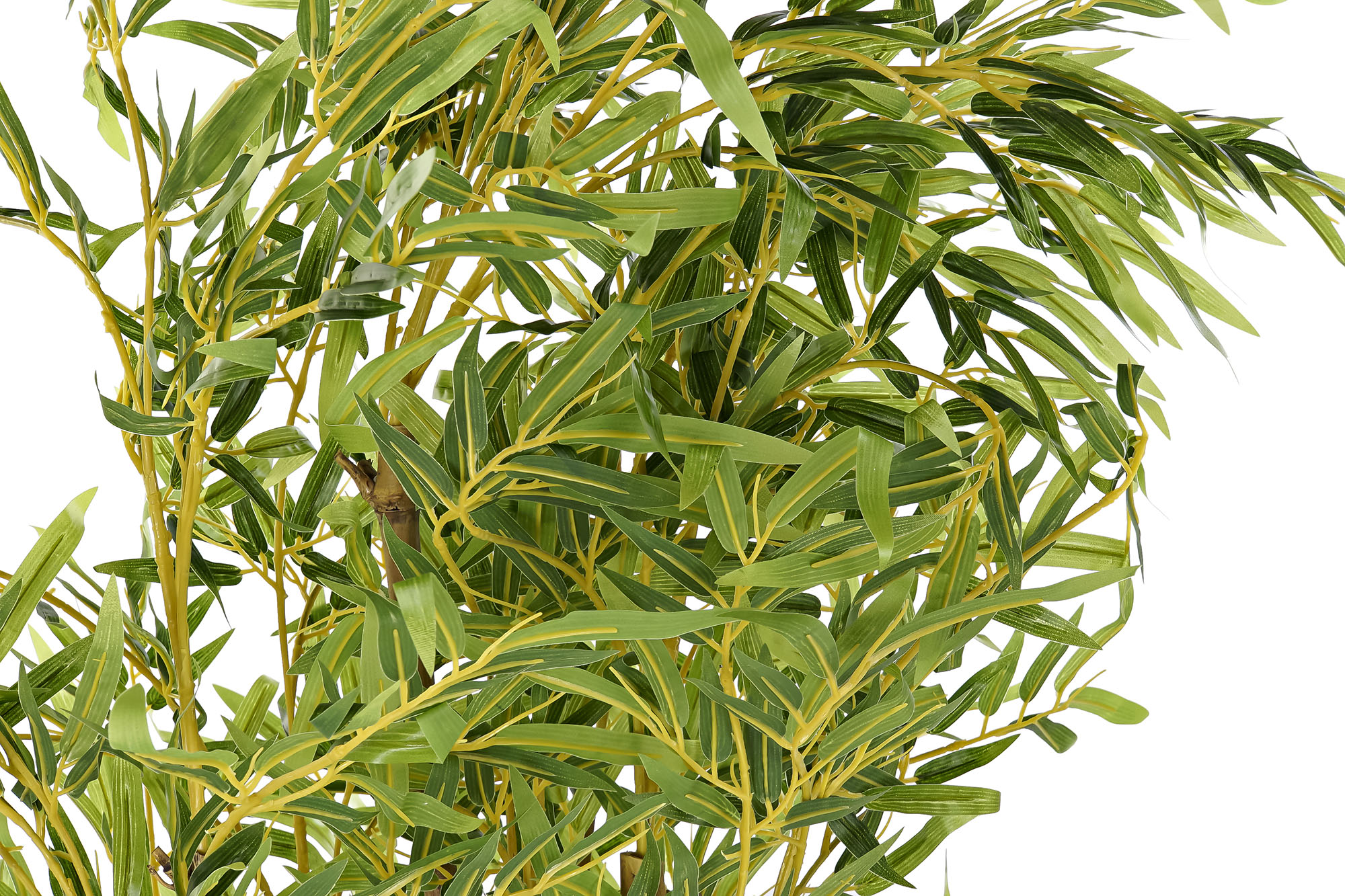 PLANTA PE 40X40X150CM BAMBU VERDE 2