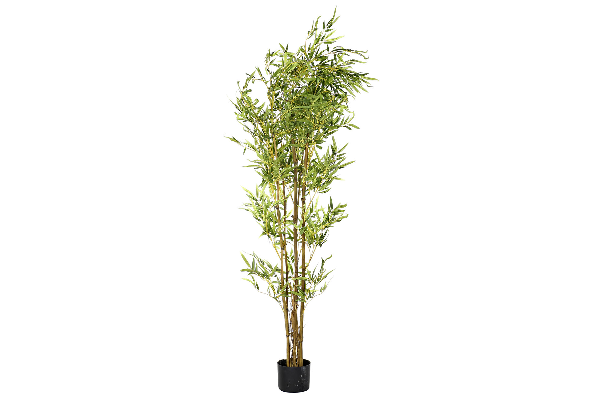 PLANTA PE 40X40X150CM BAMBU VERDE