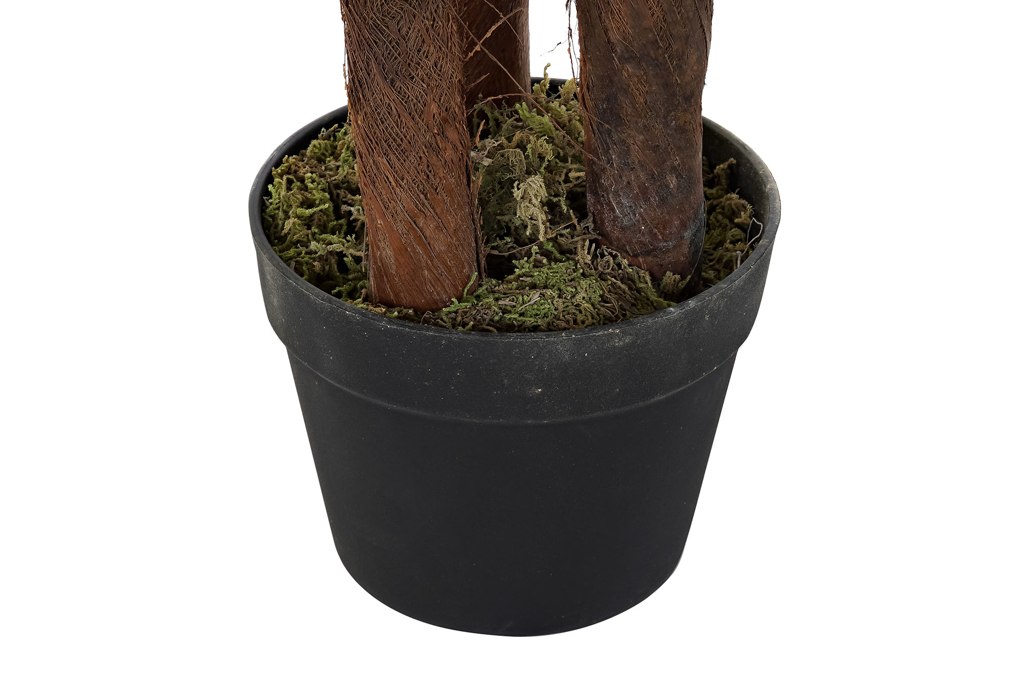 PLANTA PE 40X40X150CM PALMERA VERDE 3