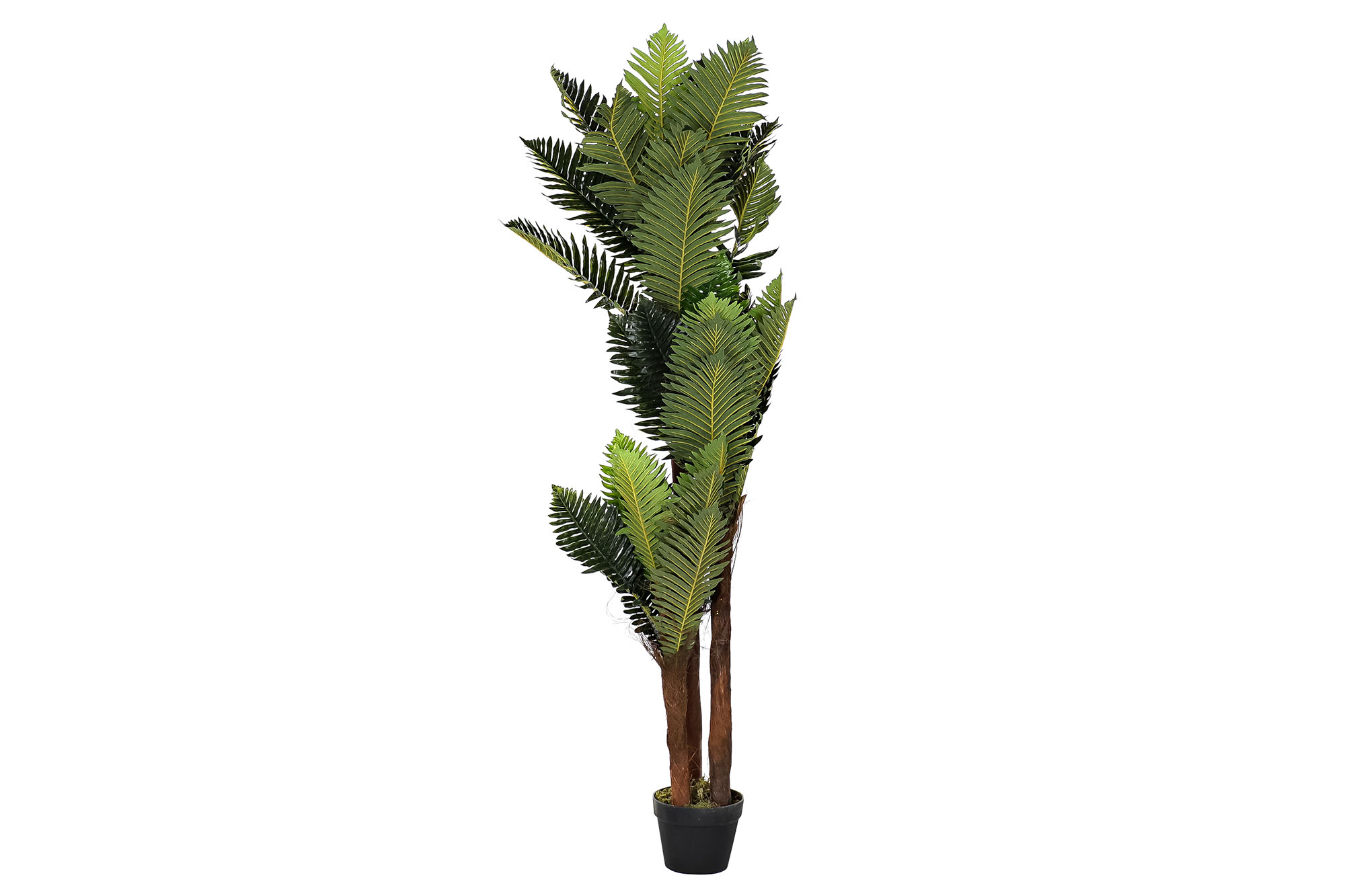 PLANTA PE 40X40X150CM PALMERA VERDE
