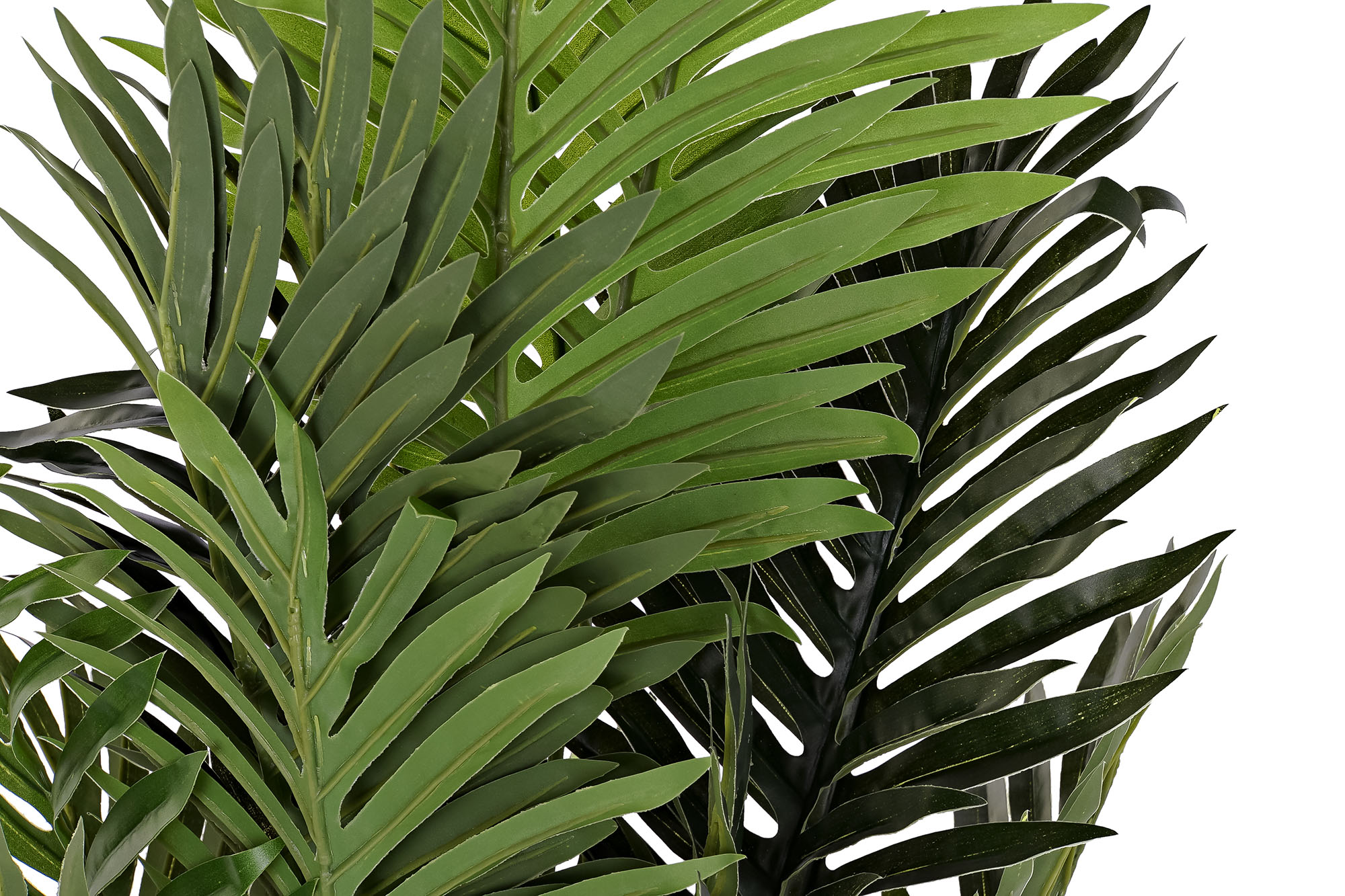 PLANTA PE 40X40X100CM PALMERA VERDE 3