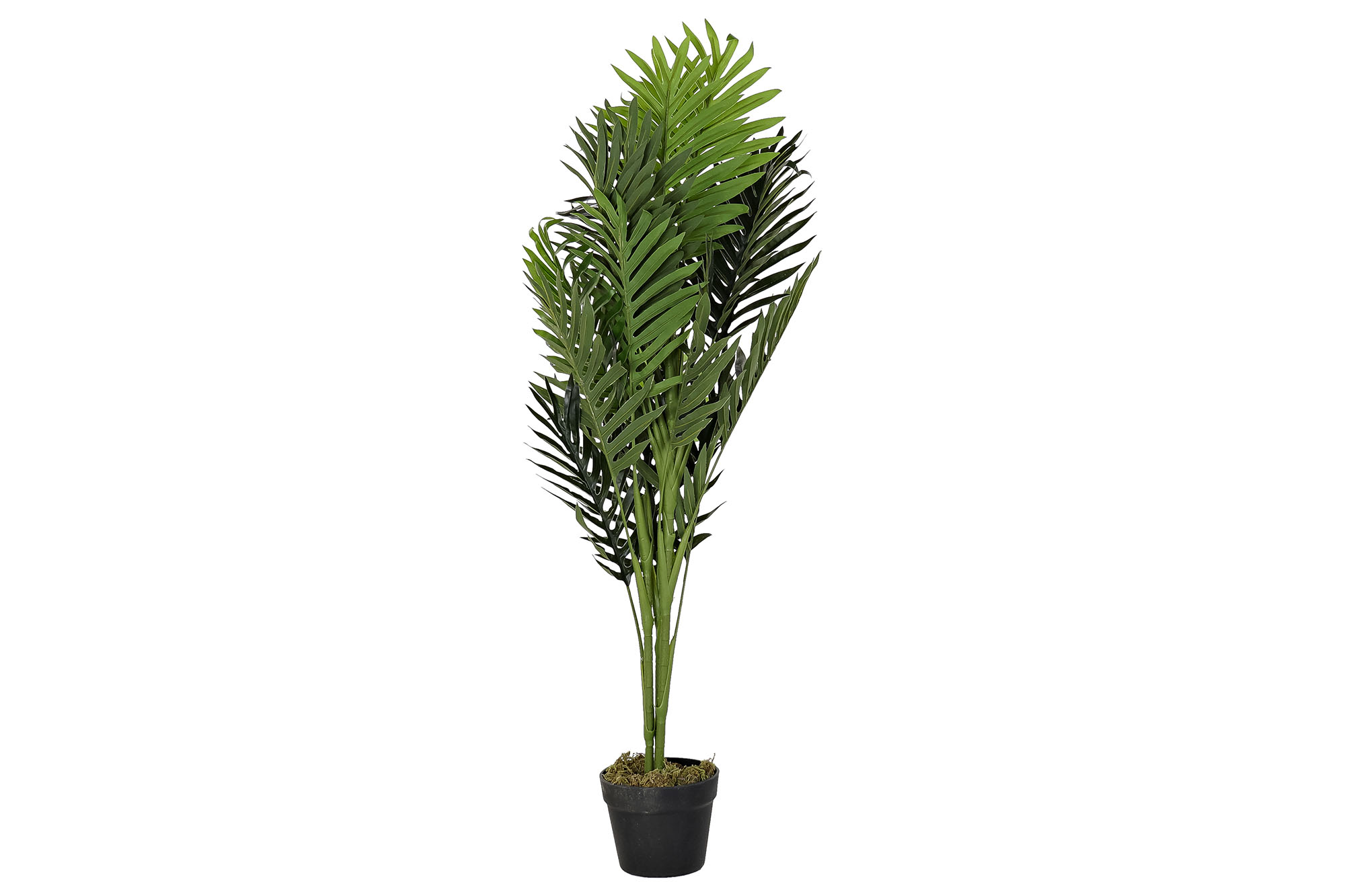 PLANTA PE 40X40X100CM PALMERA VERDE