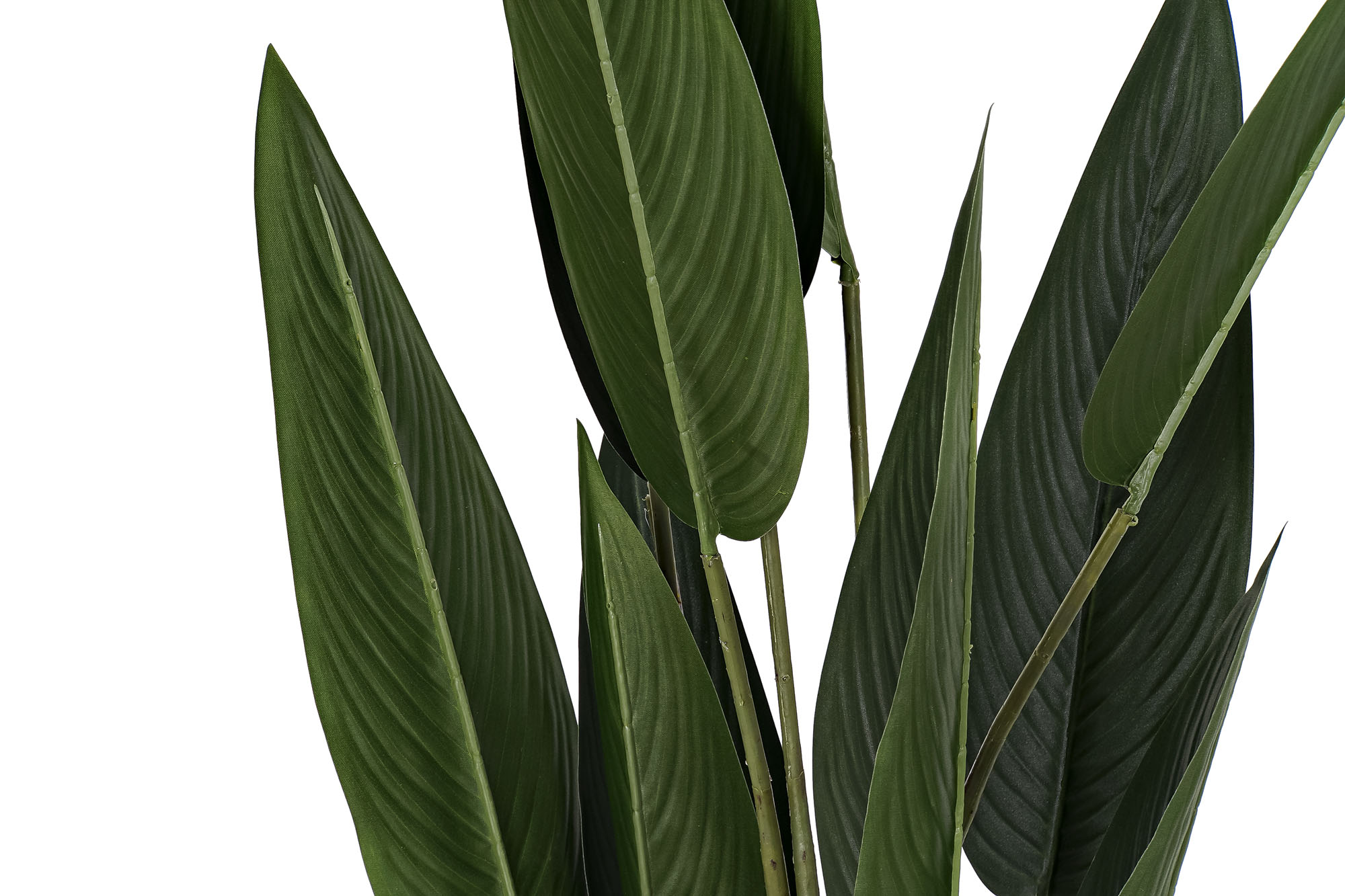 PLANTA PE 40X40X115 AVE DEL PARAISO VERDE 2