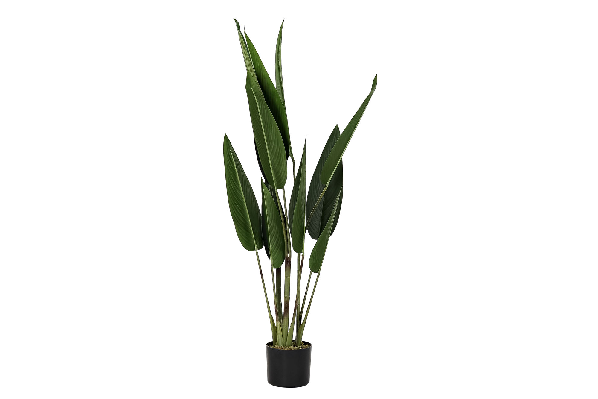 PLANTA PE 40X40X115 AVE DEL PARAISO VERDE