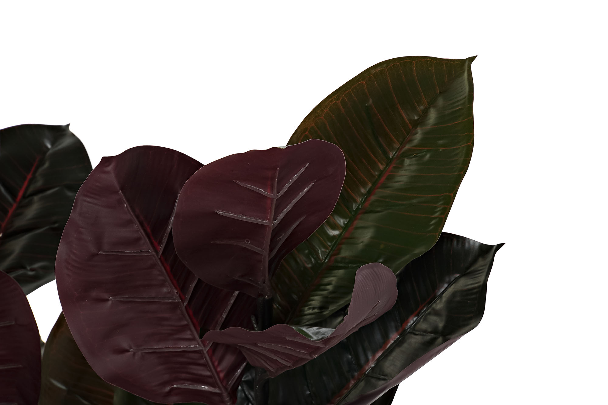 PLANTA PE 40X40X90CM HEVEA VERDE OSCURO 2