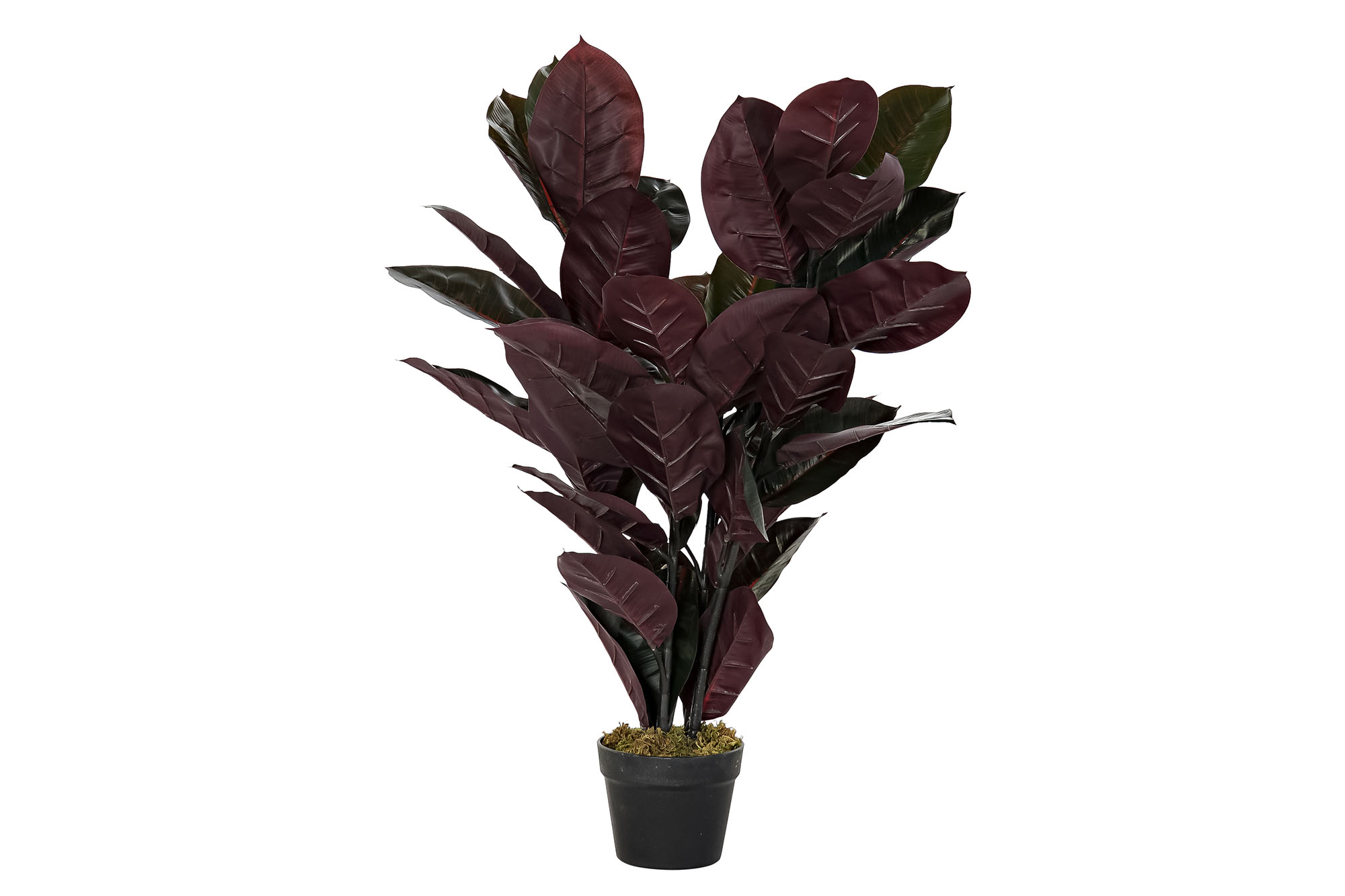 PLANTA PE 40X40X90CM HEVEA VERDE OSCURO
