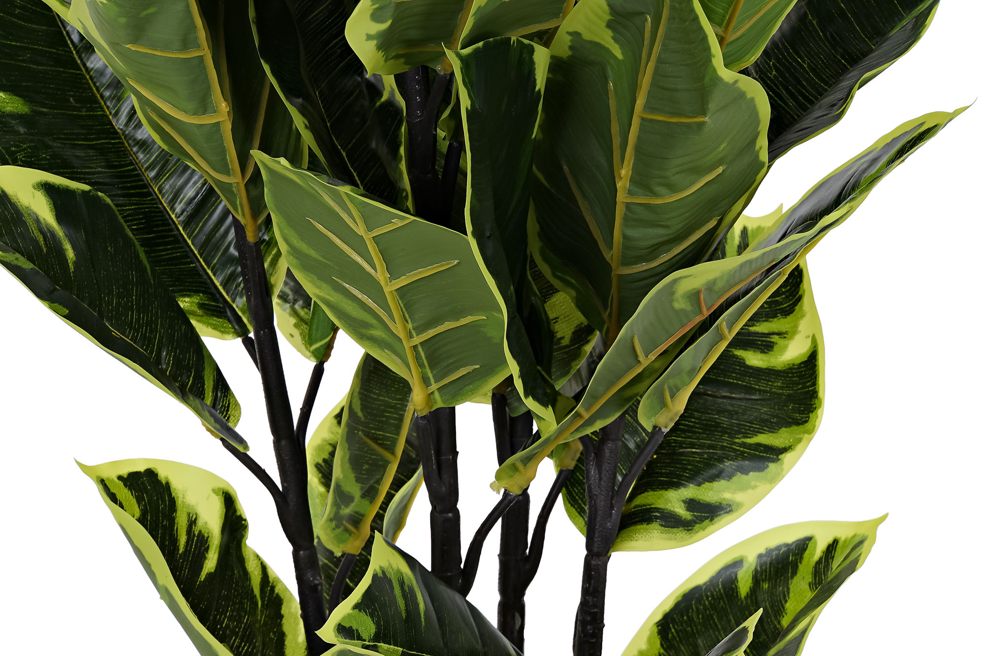 PLANTA PE 40X40X90CM HEVEA VERDE 2