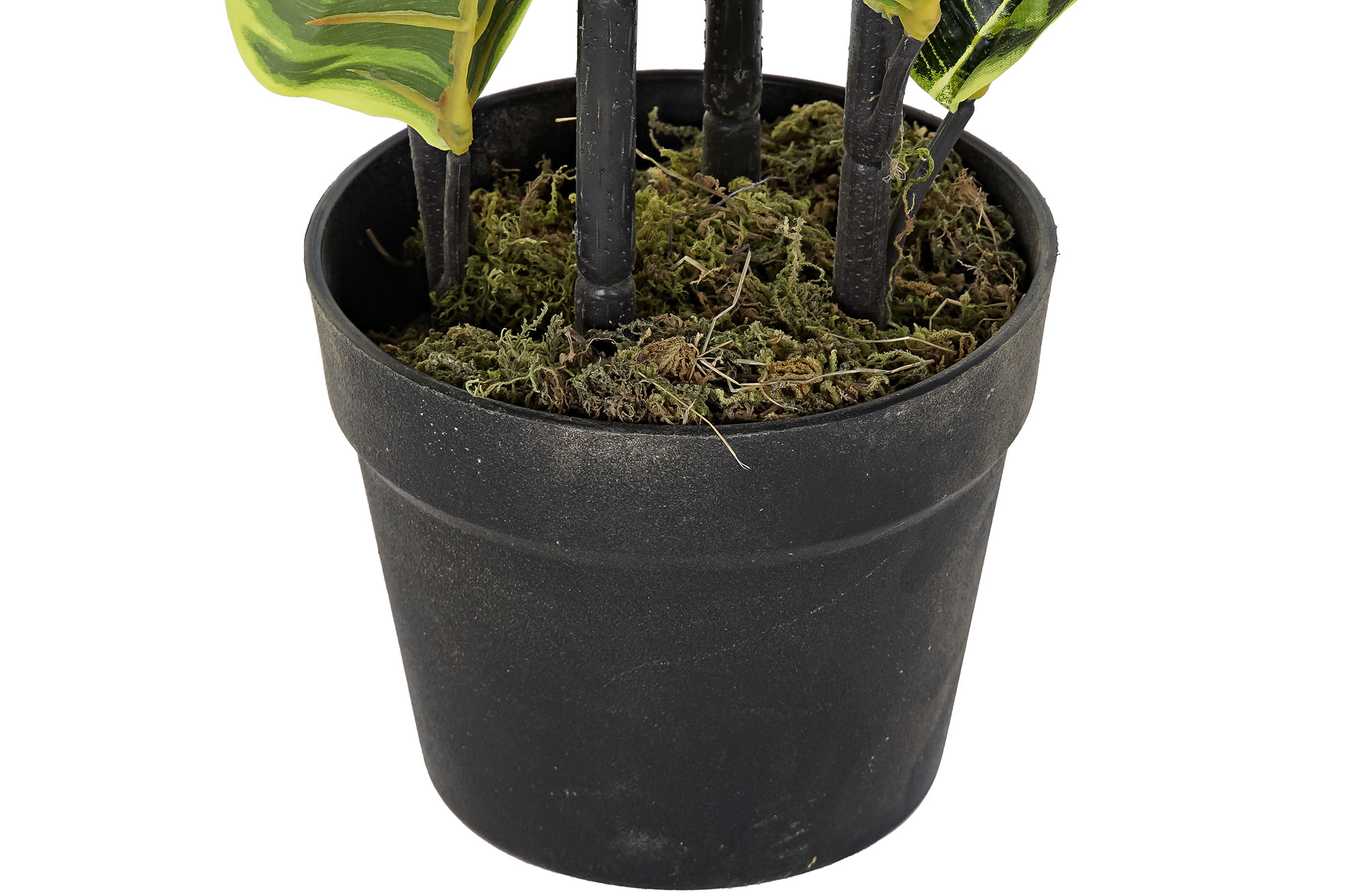 PLANTA PE 40X40X90CM HEVEA VERDE 3