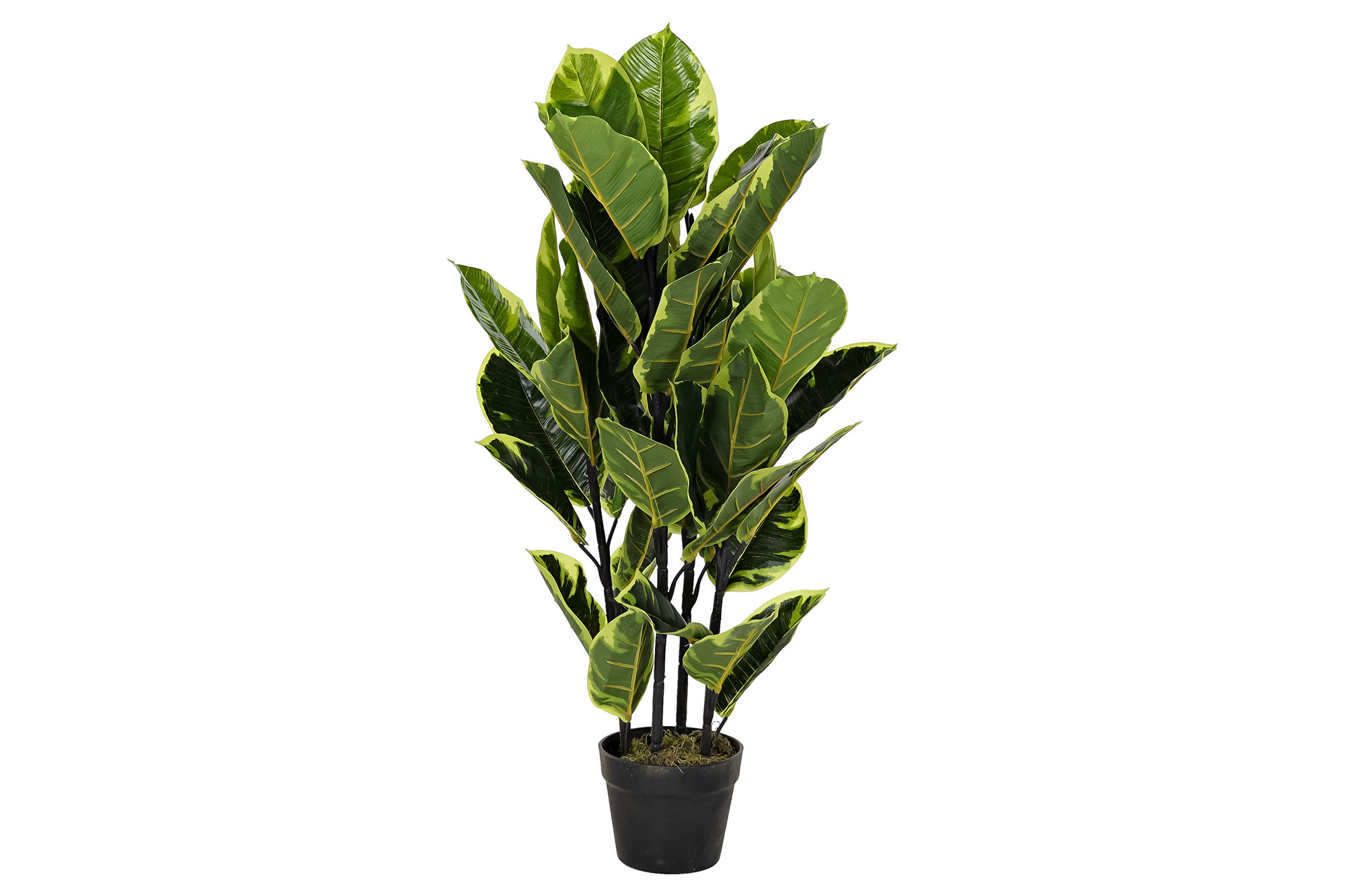 PLANTA PE 40X40X90CM HEVEA VERDE