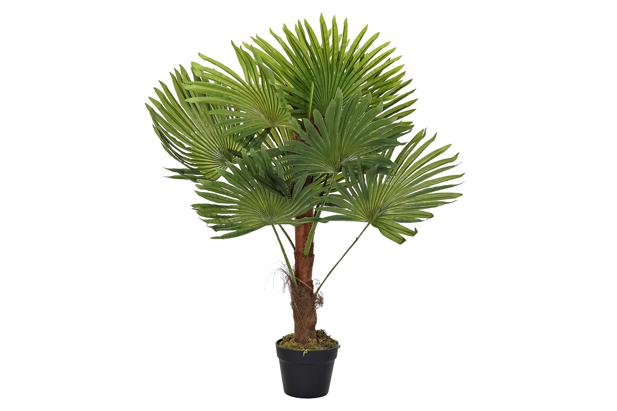 PLANTA PE PALMERA VERDE 40X40X90CM
