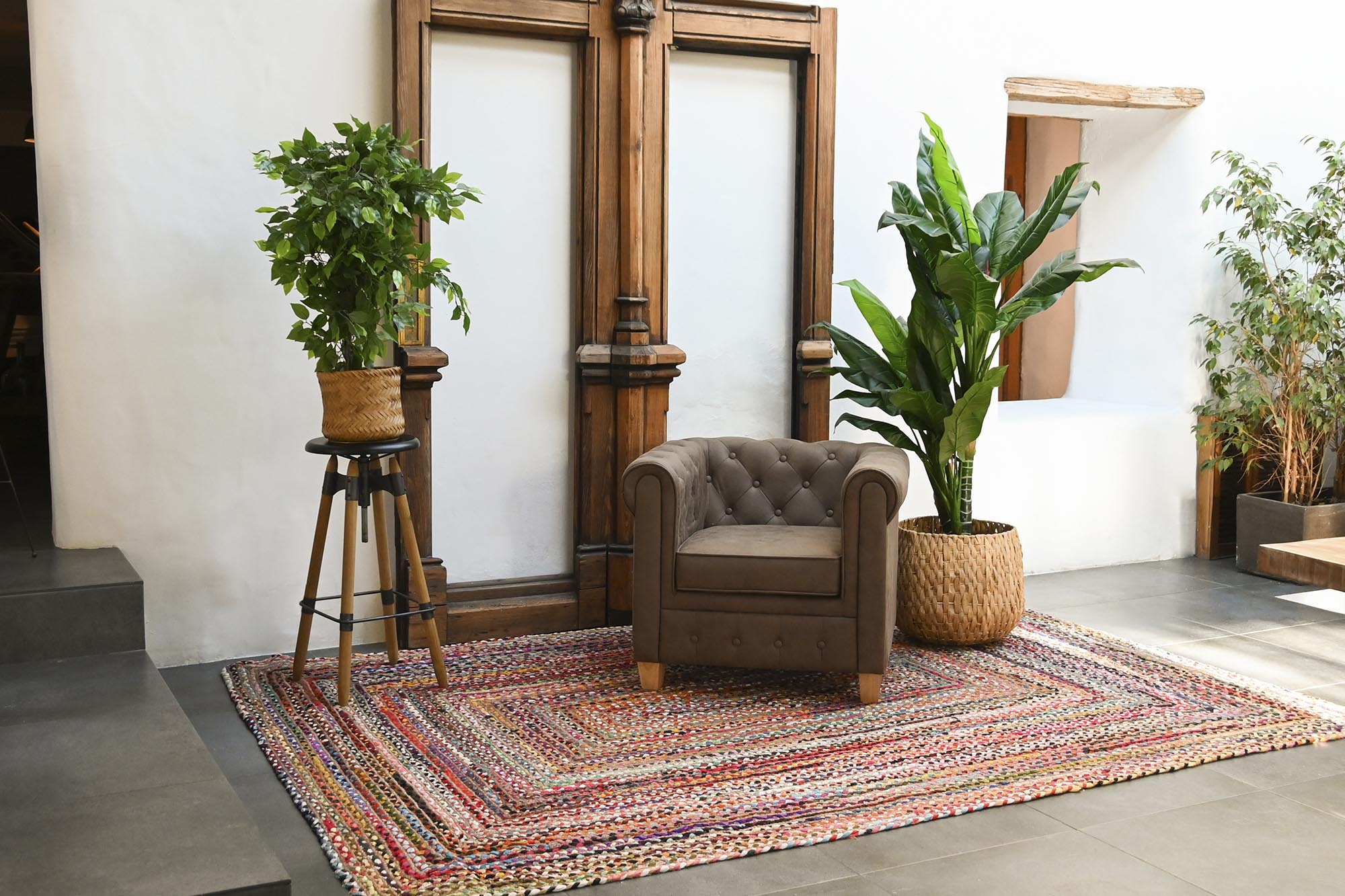 PLANTA PE 50X50X90 FICUS VERDE 2