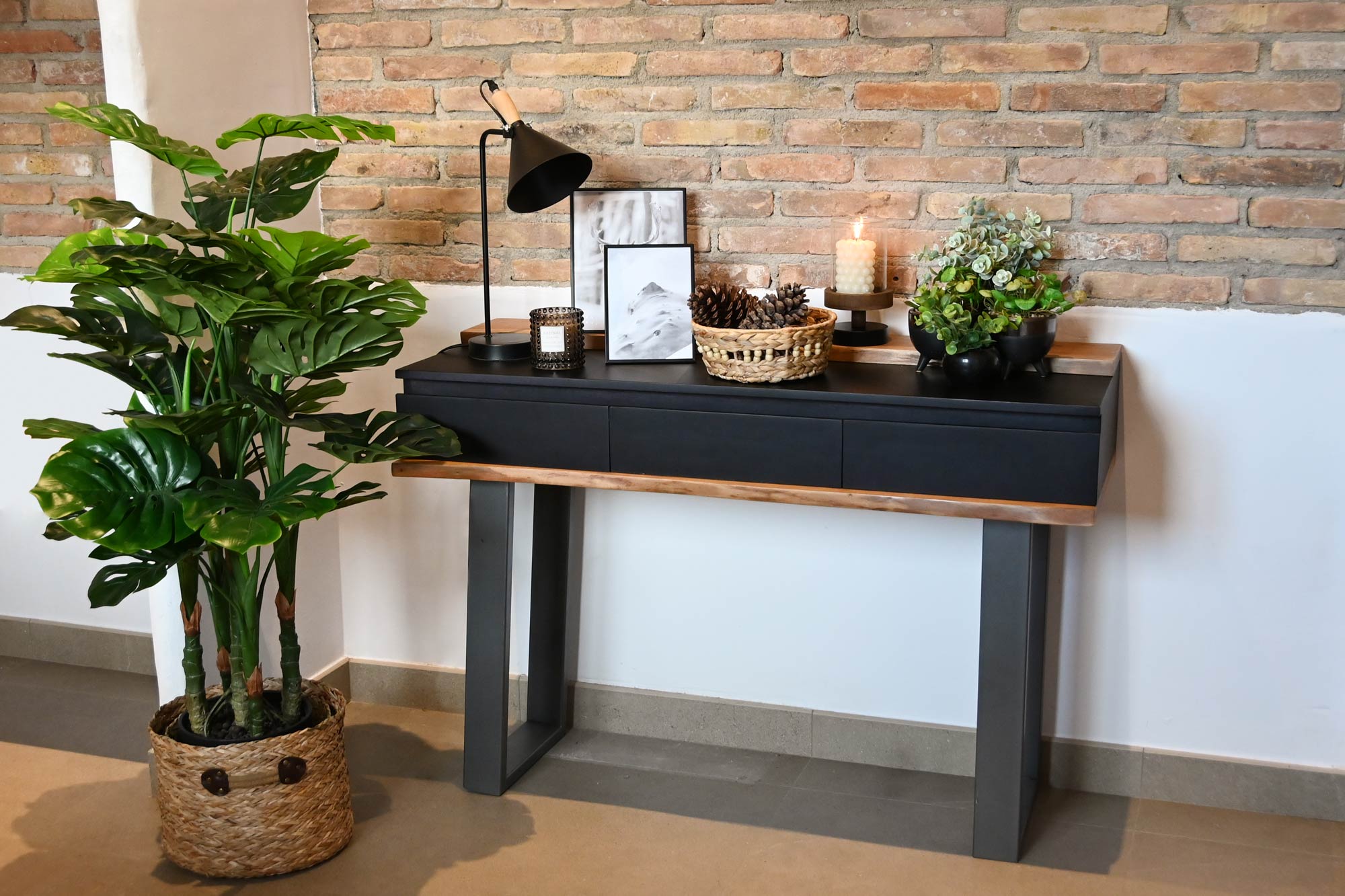 PLANTA PE 50X50X120 COSTILLA DE ADAN VERDE 2