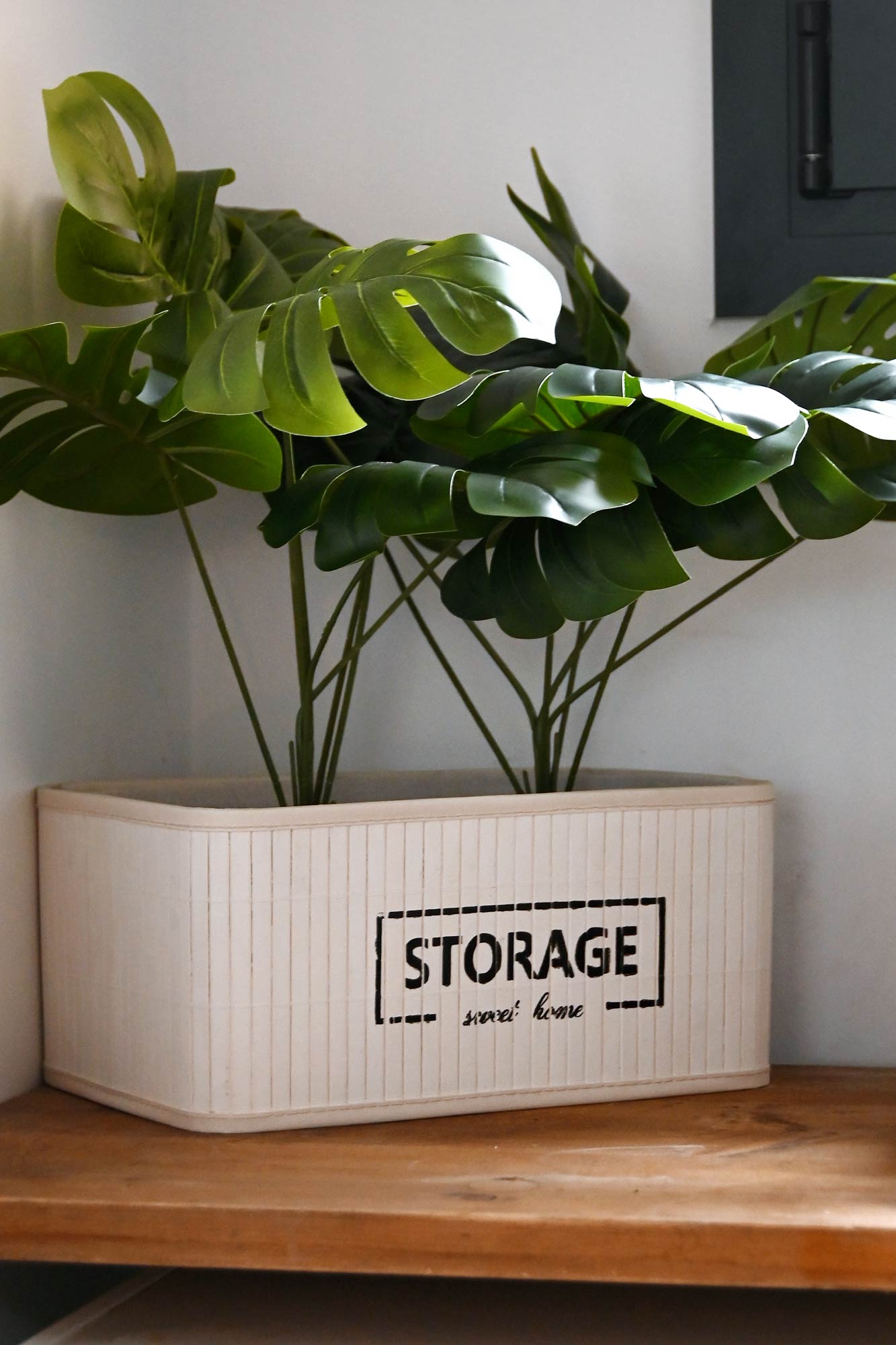 PLANTA PE PP 40X30X50 MONSTERA VERDE