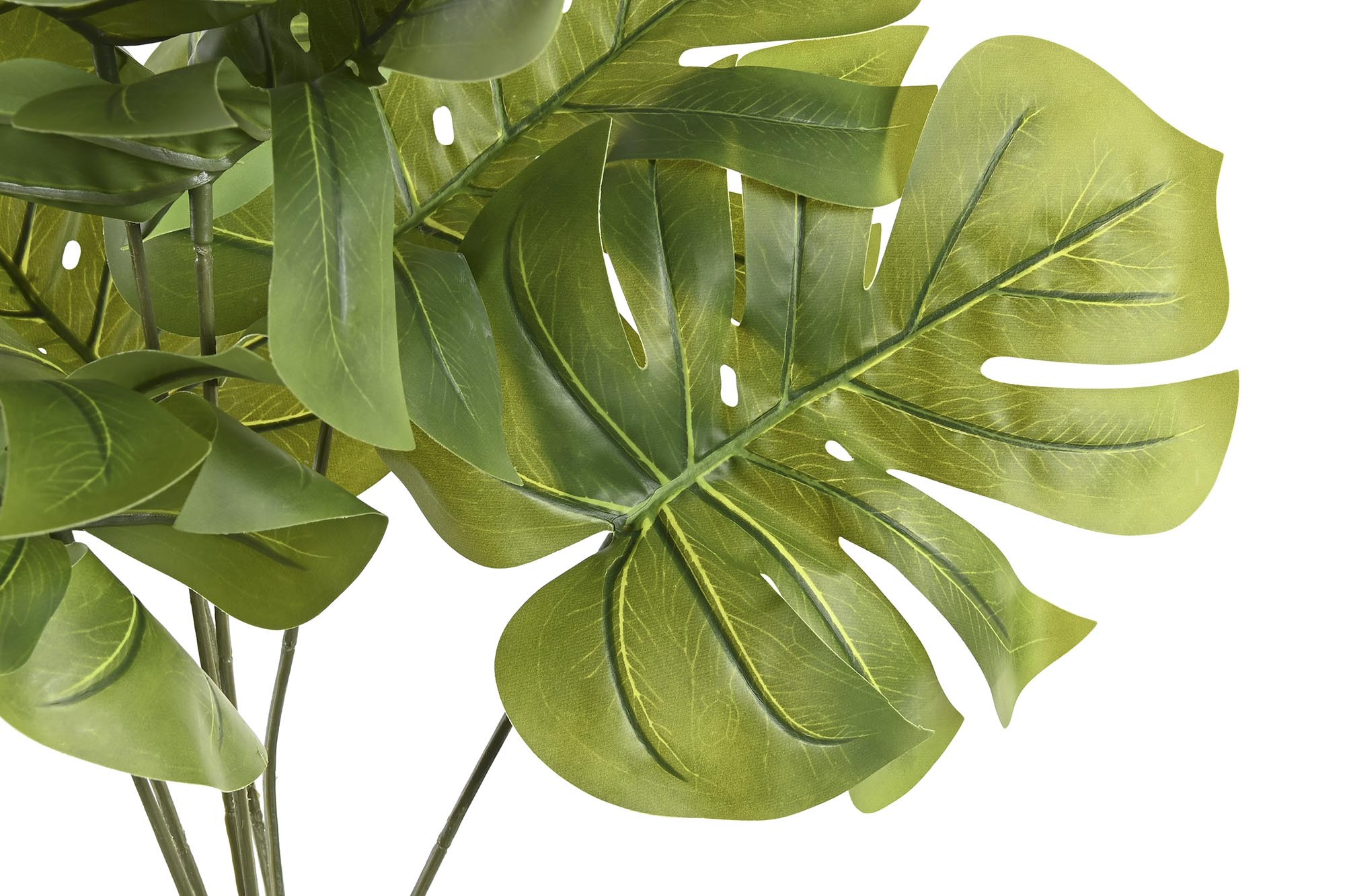 PLANTA PE PP 40X30X50 MONSTERA VERDE 2