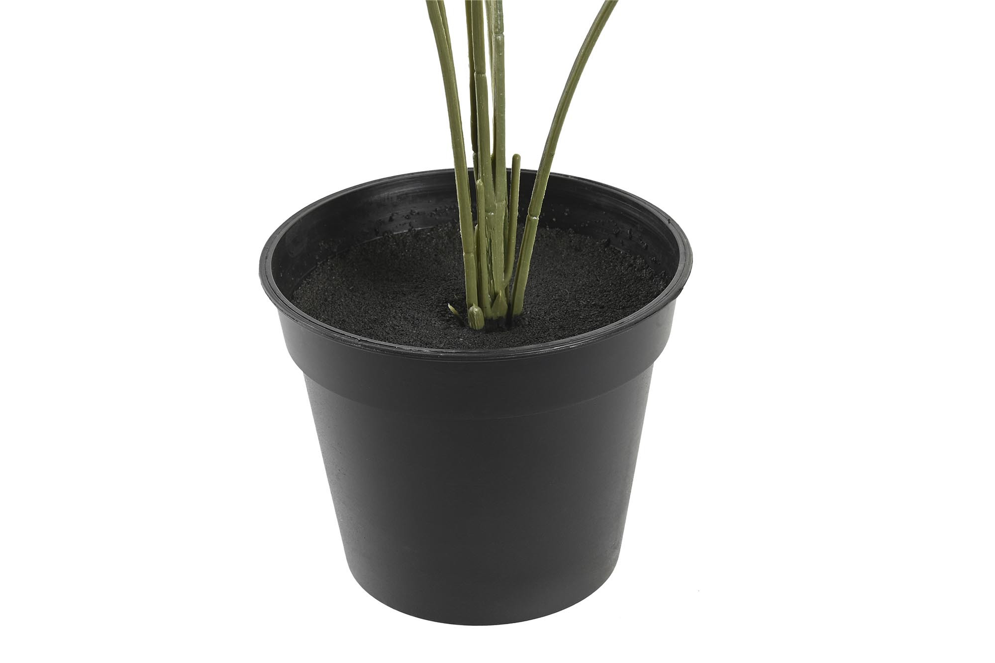 PLANTA PE PP 40X30X50 MONSTERA VERDE 3