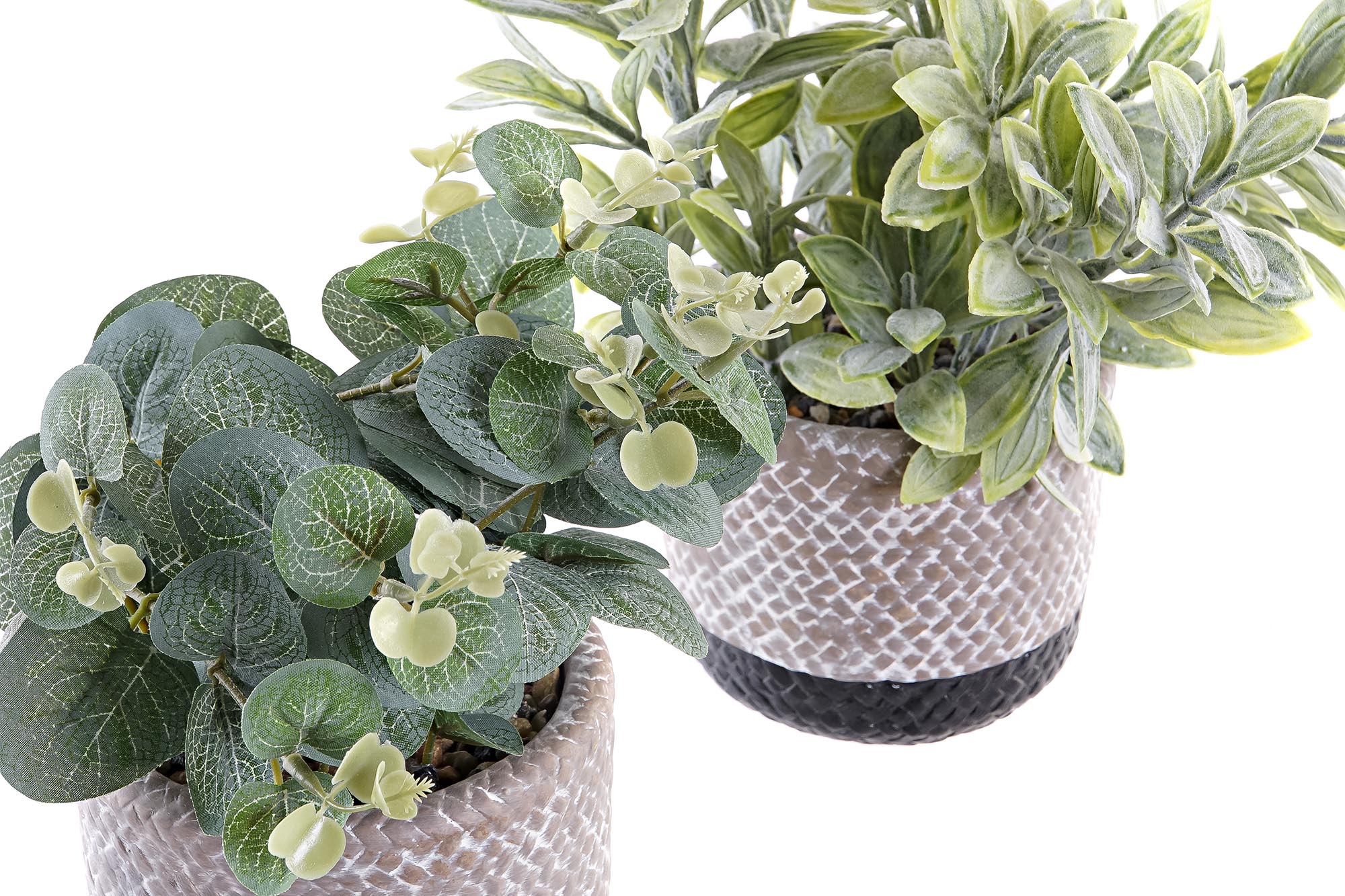 PLANTA RESINA PE 12X12X24CM RAYA VERDE 3
