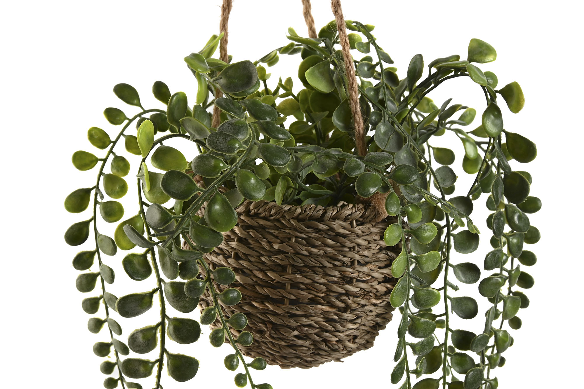 PLANTA PE FIBRA 16X16X70 COLGANTE 2