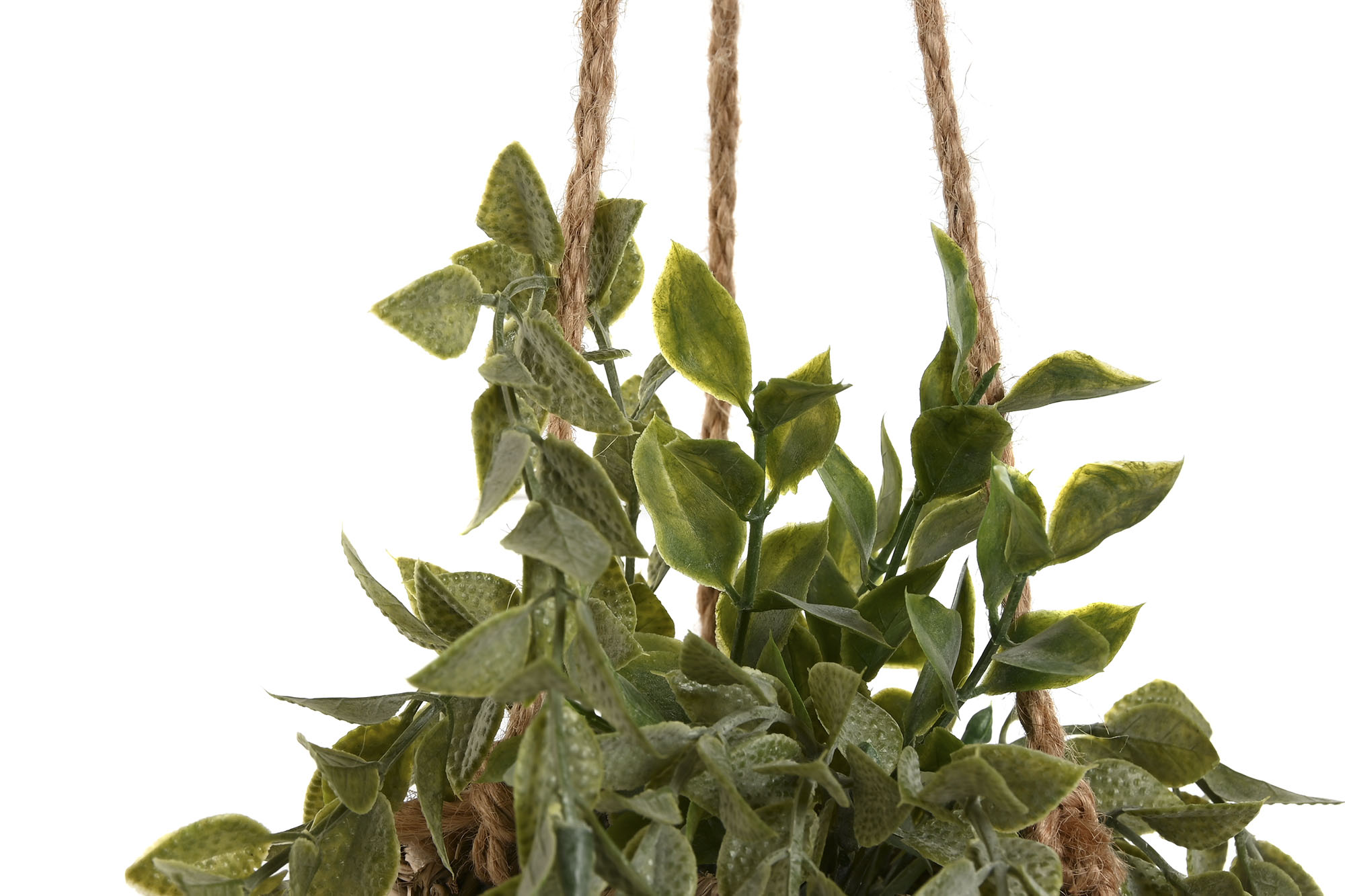 PLANTA PE FIBRA 16X16X70 COLGANTE 4