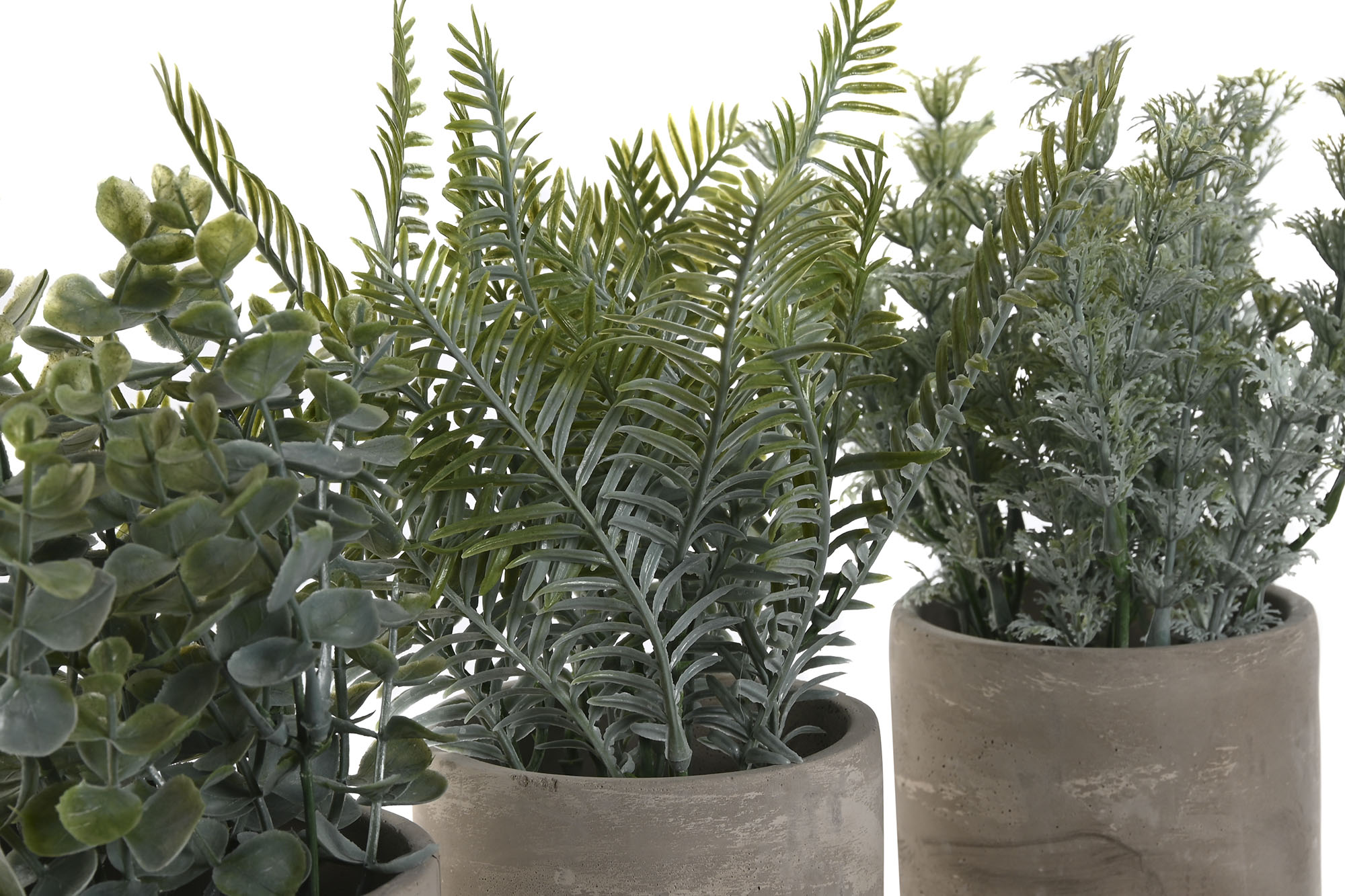 PLANTA CEMENTO PE 13X13X24CM 2