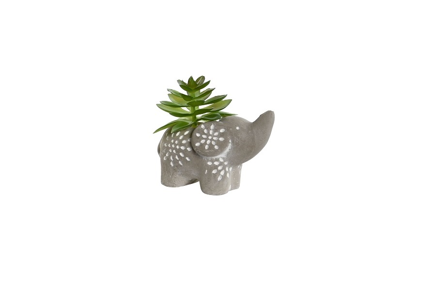 PLANTA CEMENTO PE 8X5X7 ELEFANTE
