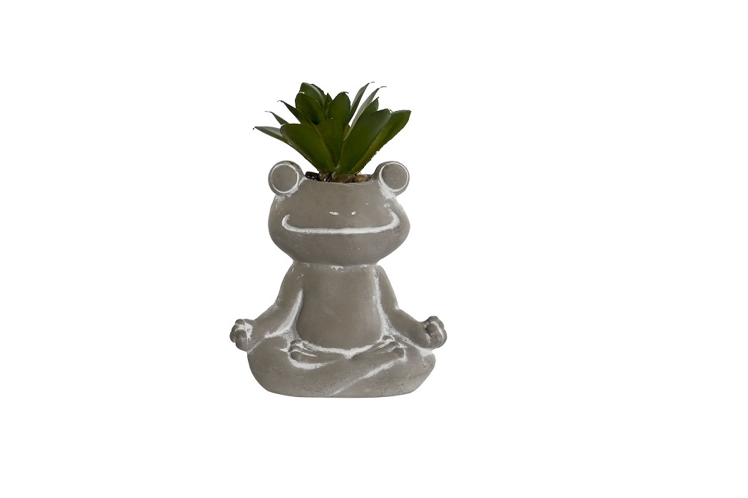 PLANTA CEMENTO PE 7.5X5X11CM RANA